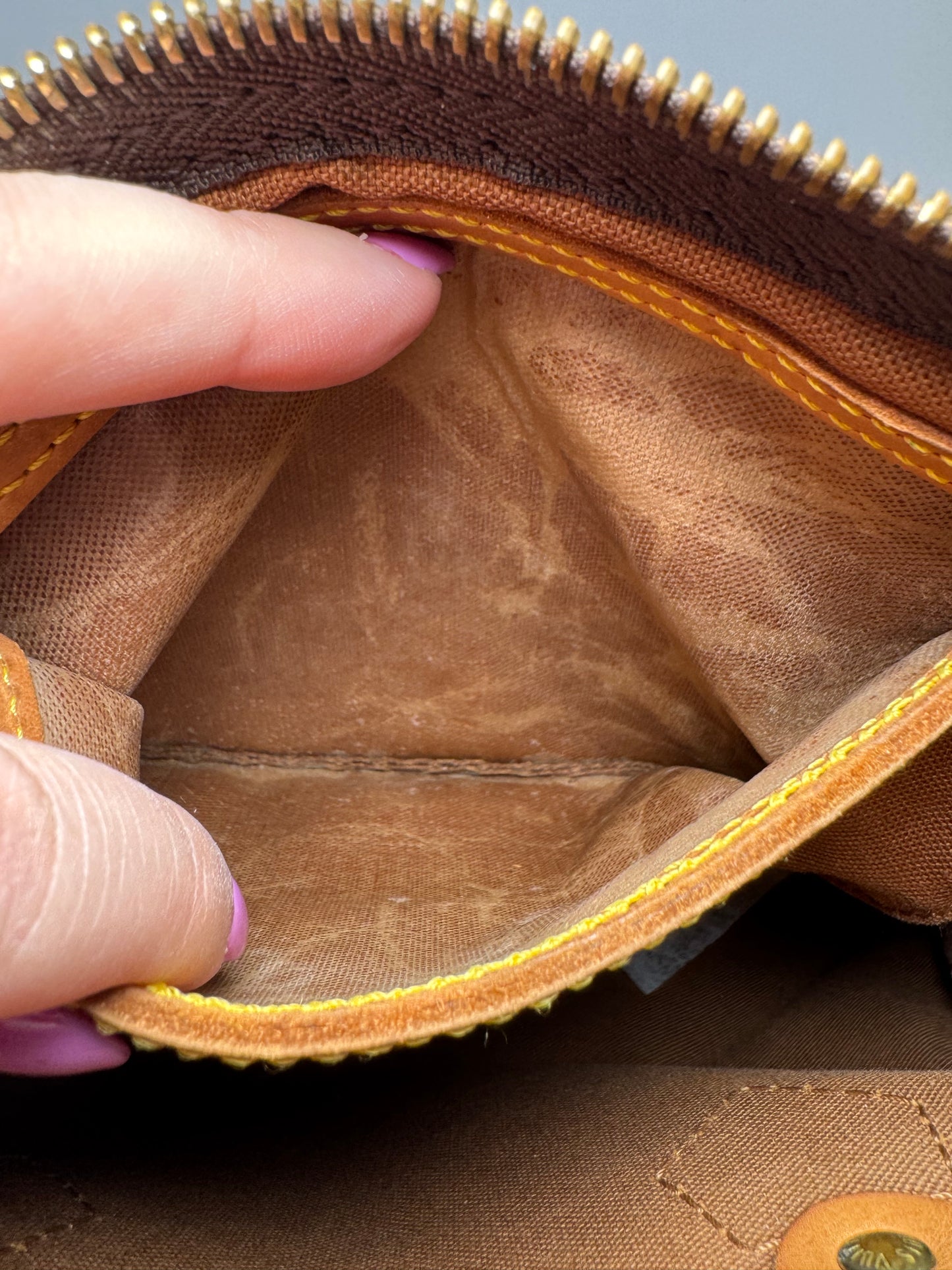 Louis Vuitton Speedy 25 Monogram Satchel