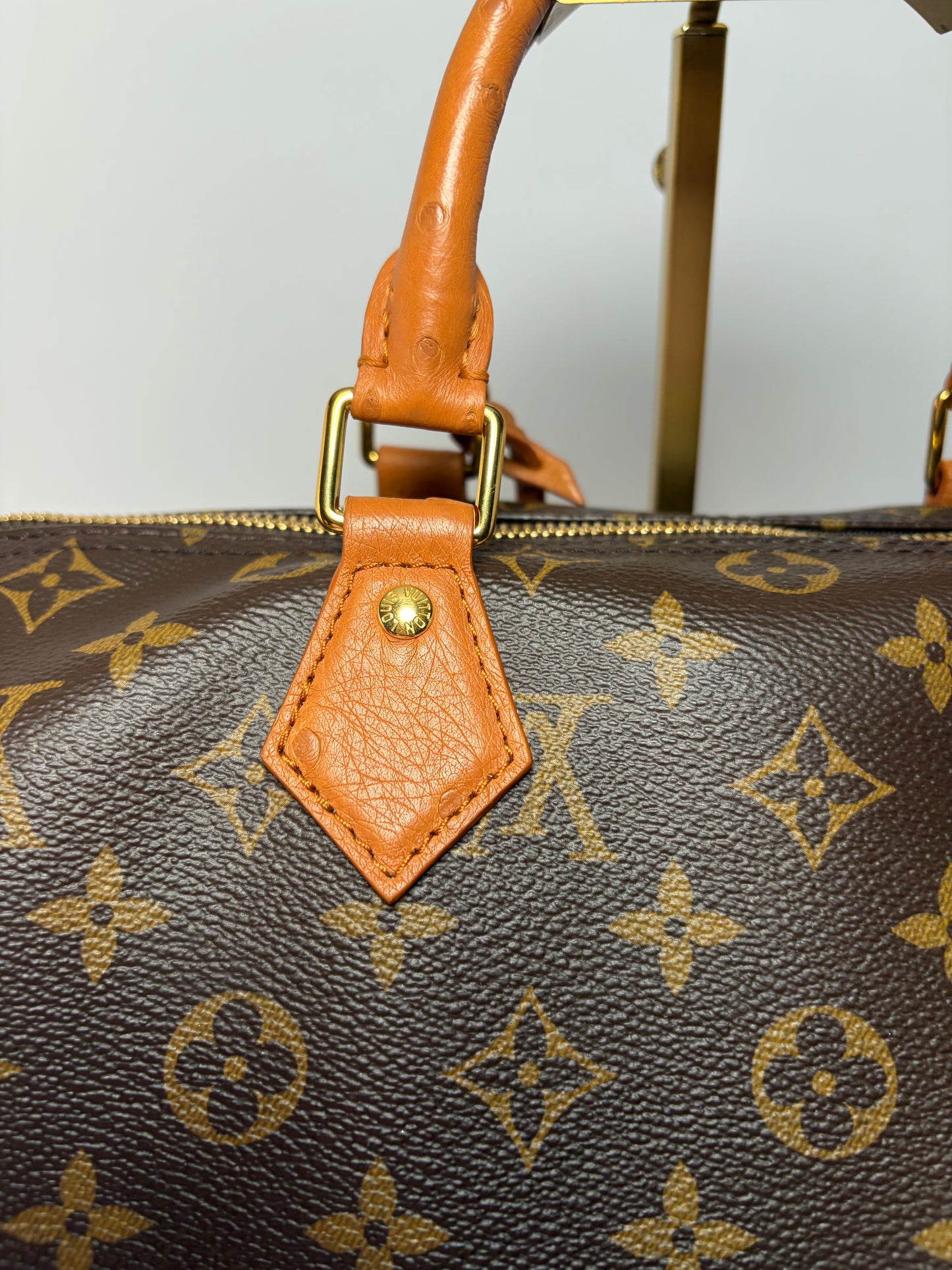 Louis Vuitton Speedy Soft 30 Boho w/Ostrich Leather