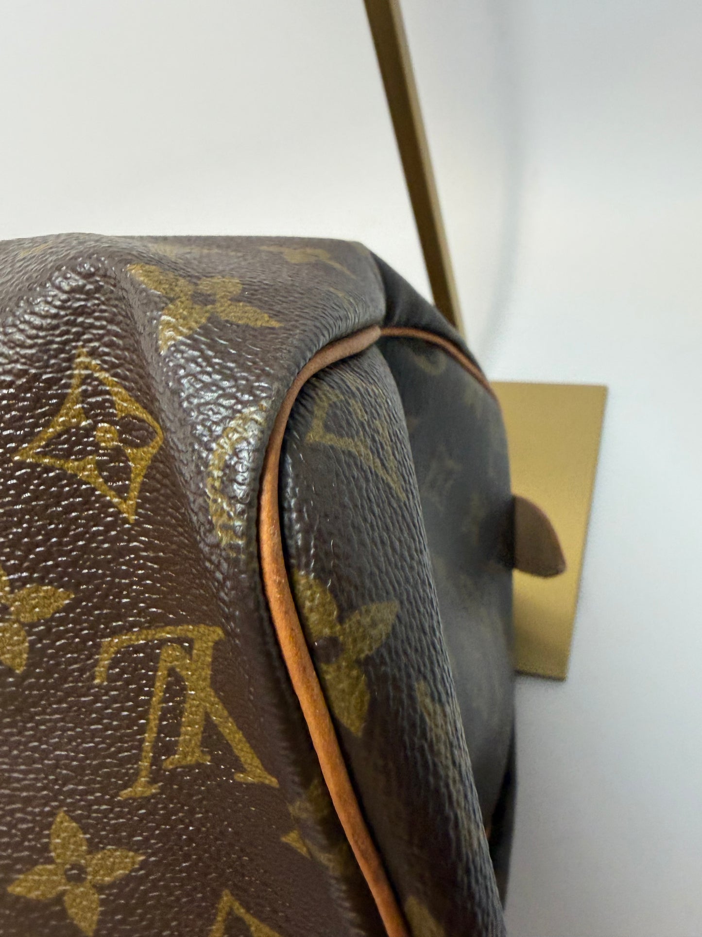 Louis Vuitton Speedy 30 Monogram