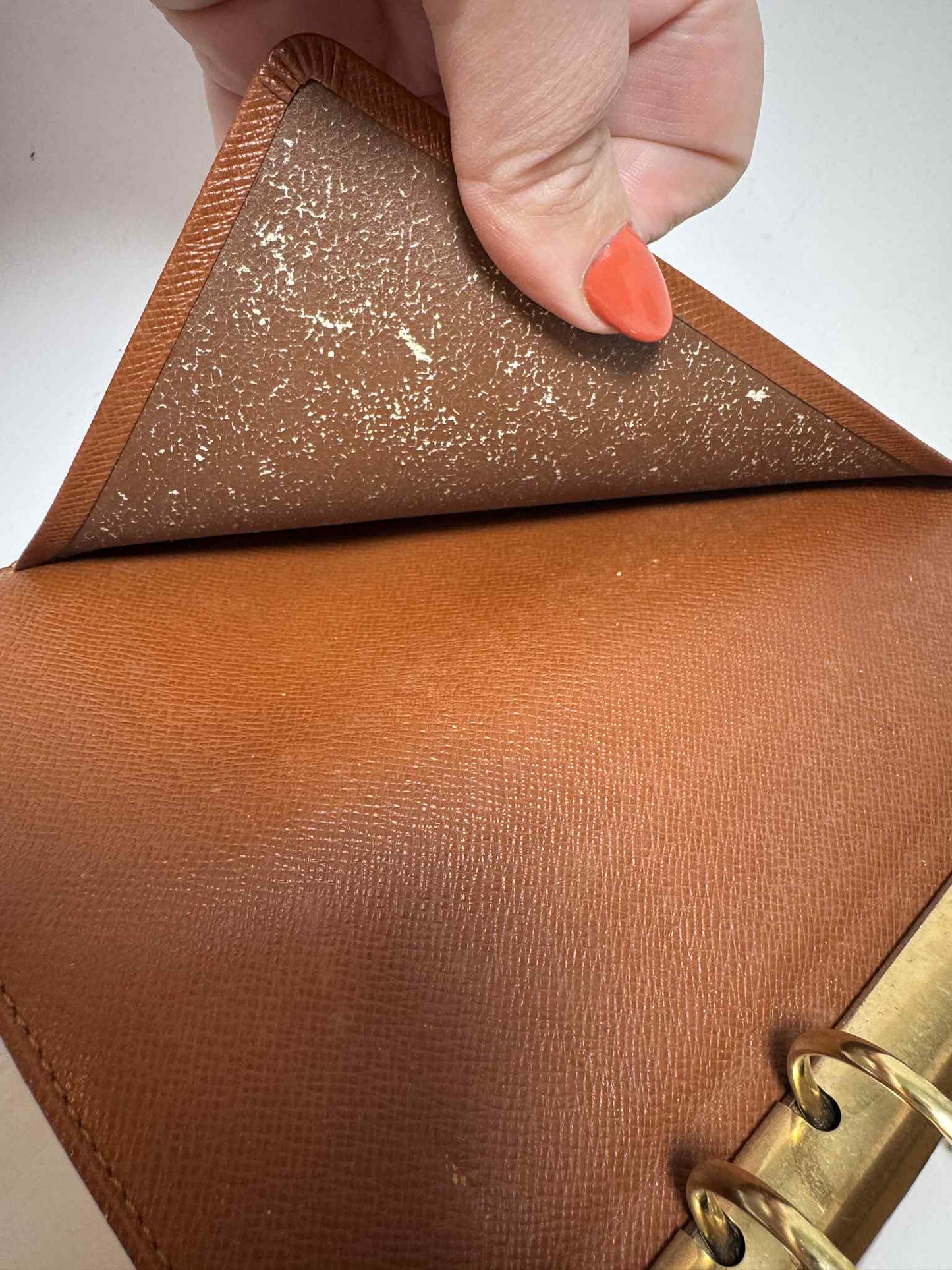 Louis Vuitton Agenda MM Monogram