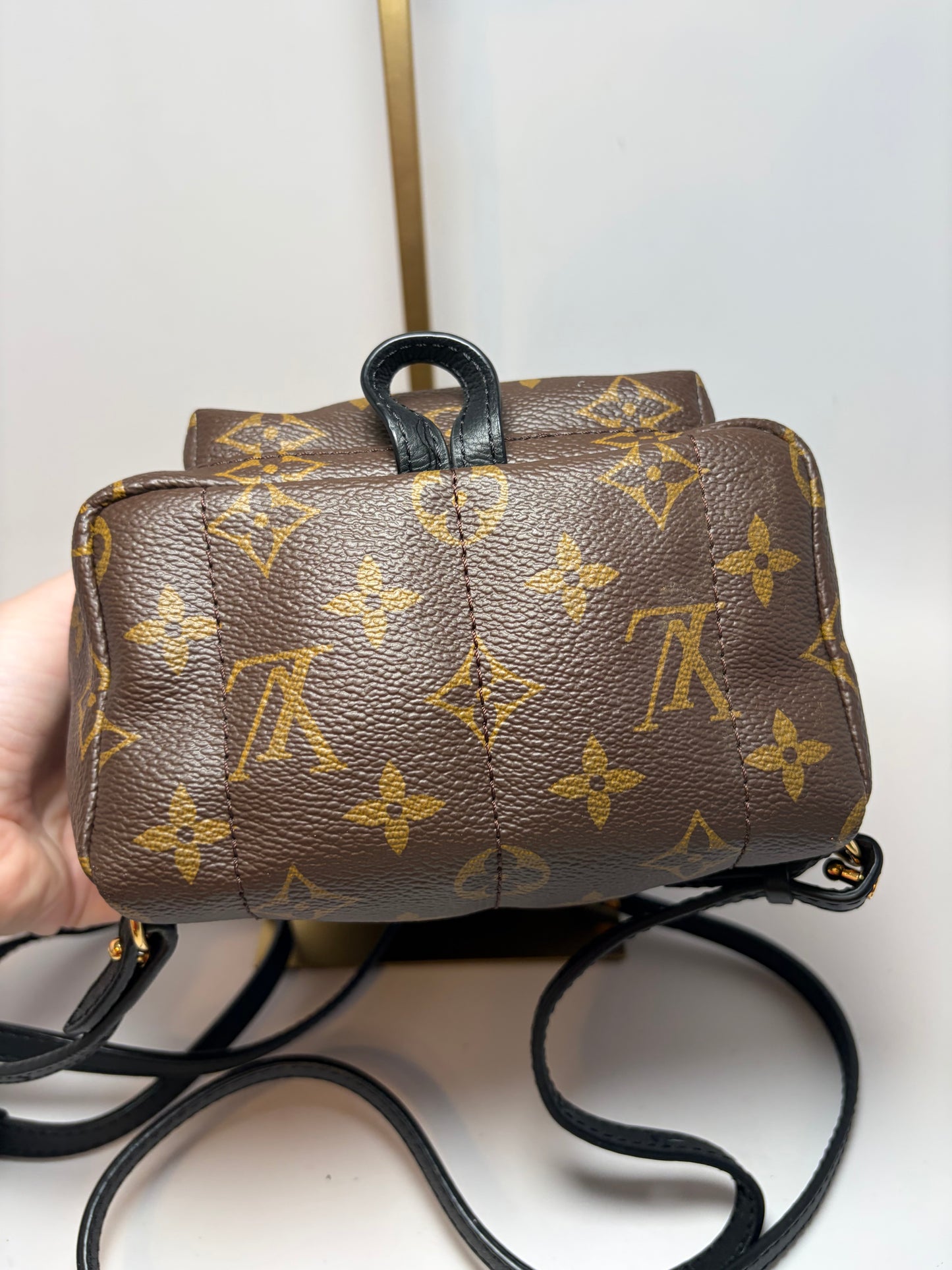 Louis Vuitton Palm Springs Mini Monogram Backpack & Crossbody w/COA