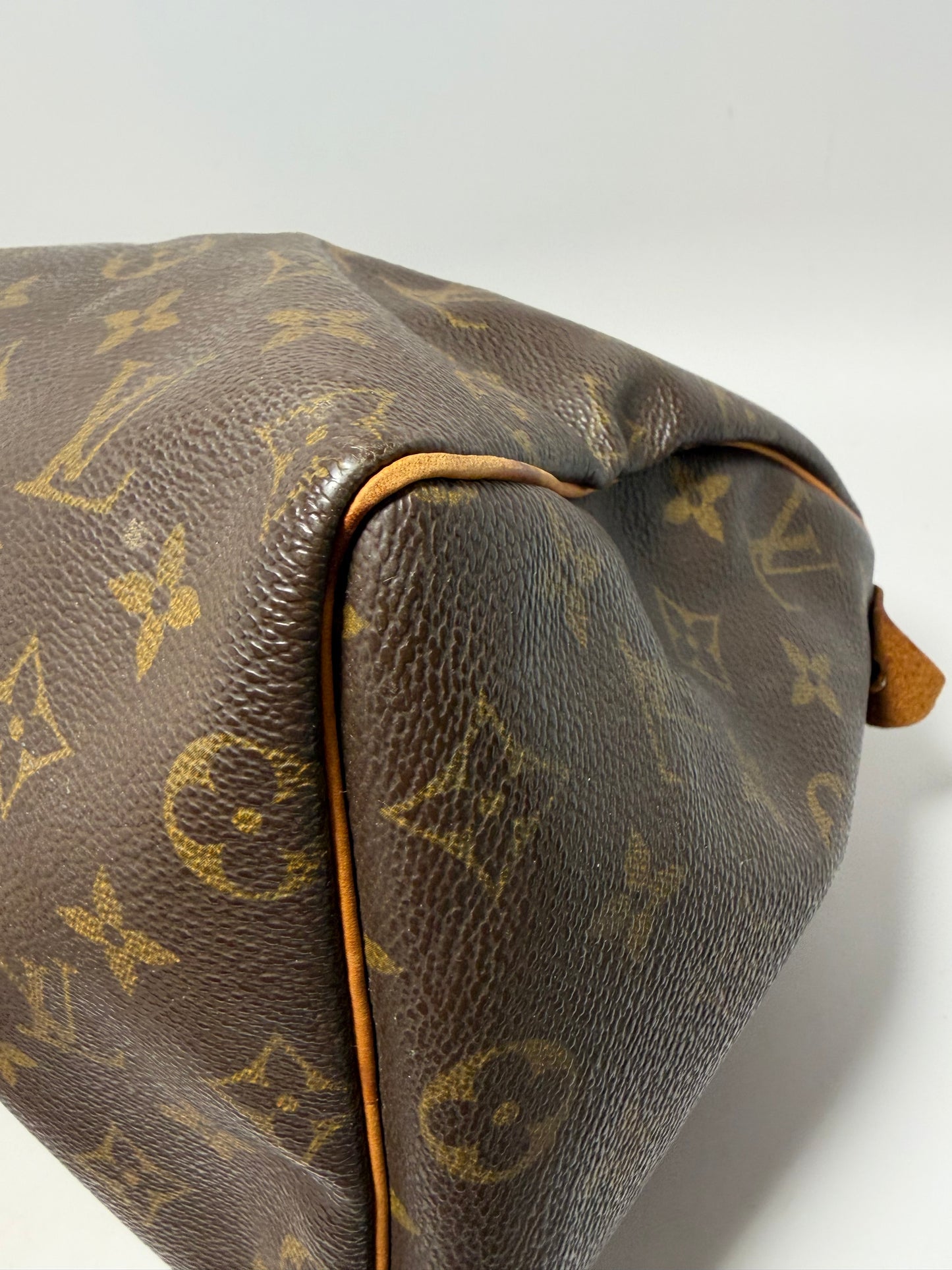 Louis Vuitton Speedy 25 Monogram
