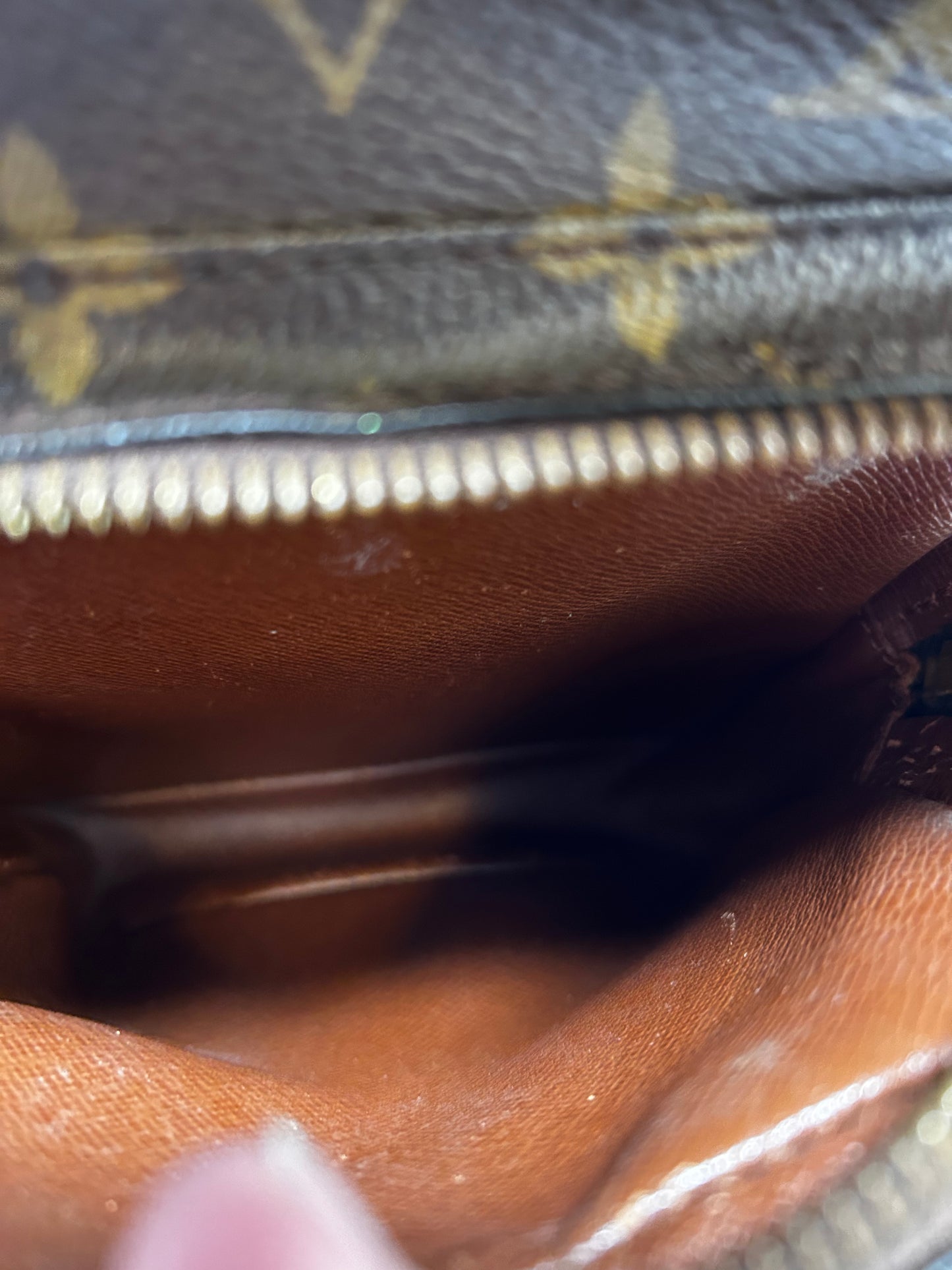 Louis Vuitton Amazon Monogram Crossbody