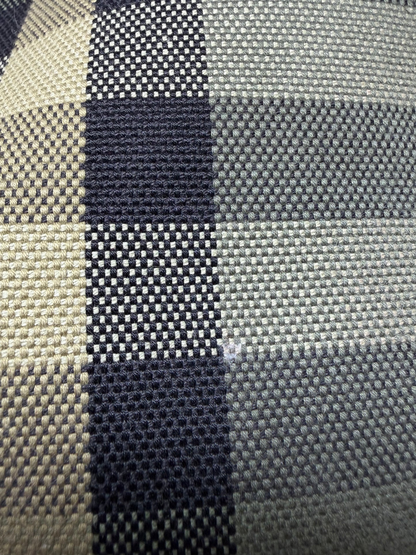 Burberry Check Canvas Tote Green & Khaki and Wristlet