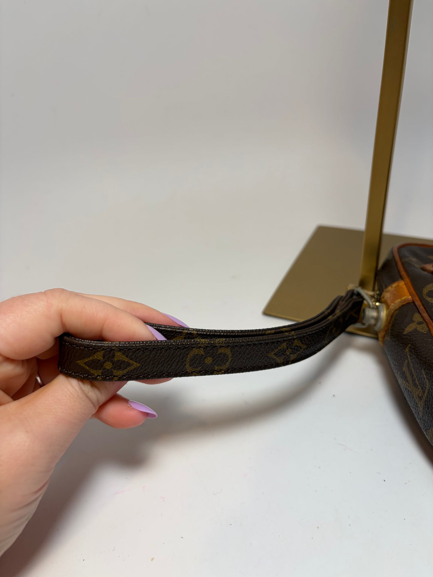 Louis Vuitton Marley Draggone Clutch/wristlet