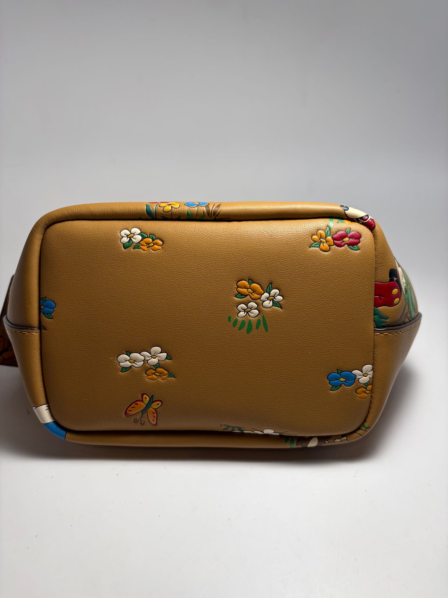 Coach x Disney Mickey & Friends Honey Brown Kiss Lock Crossbody NWT