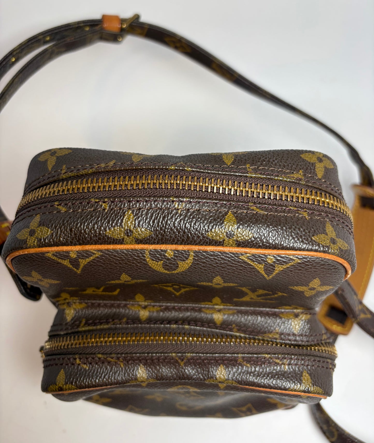 Louis Vuitton Amazon Monogram Crossbody