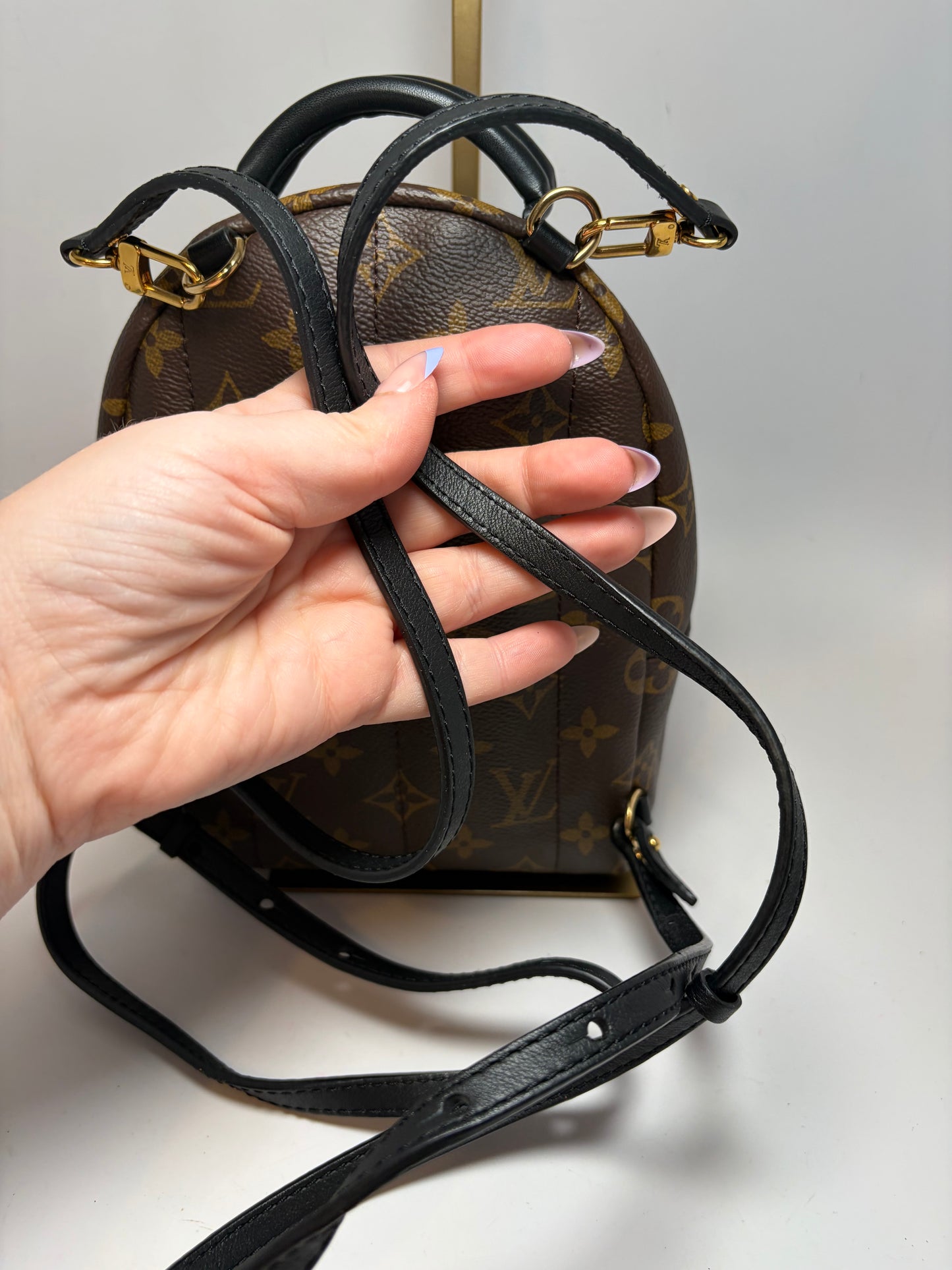 Louis Vuitton Palm Springs Mini Monogram Backpack & Crossbody w/COA