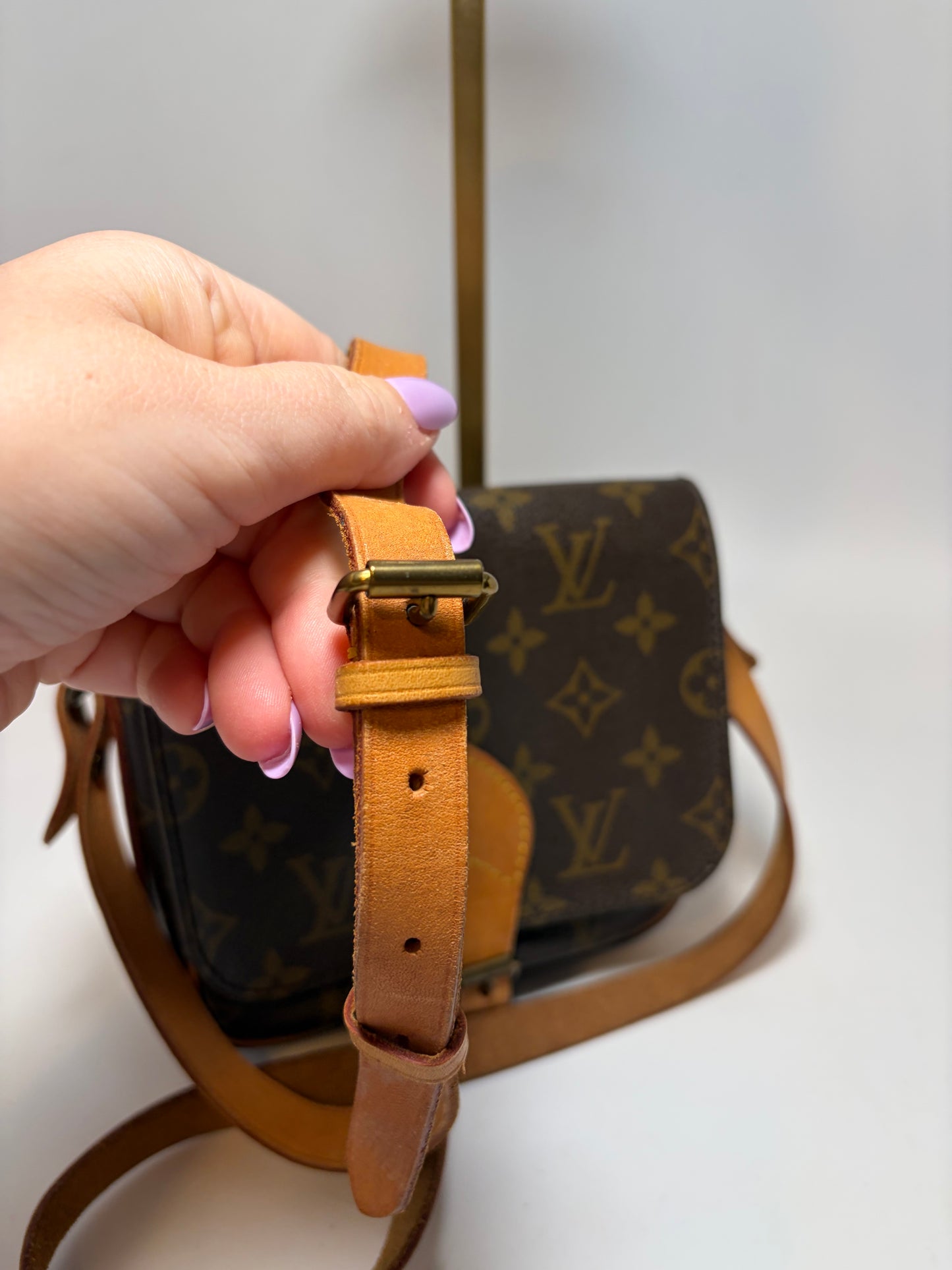 Louis Vuitton Cartouchière PM Monogram Crossbody