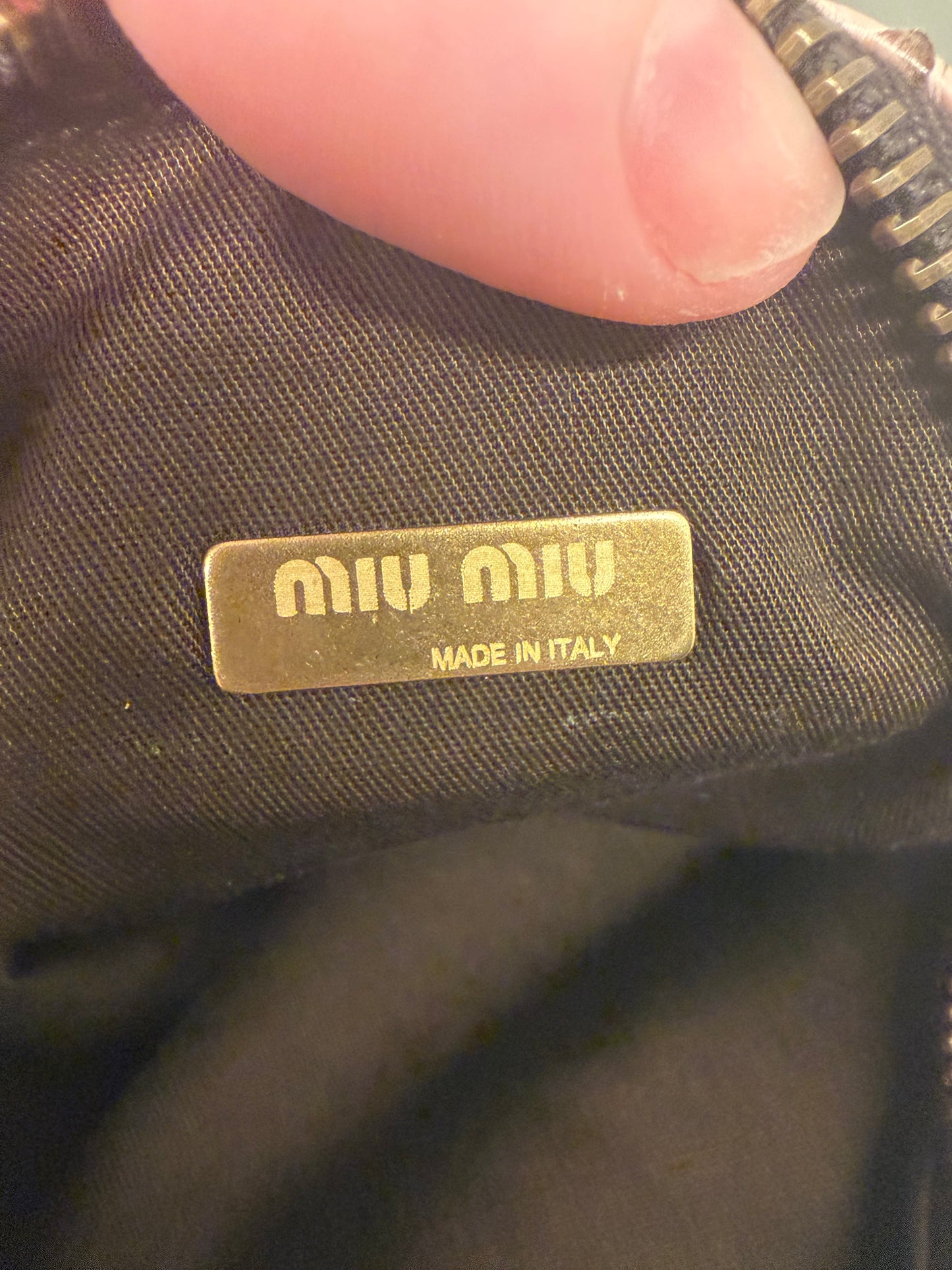 Miu Miu Python Mini Bag