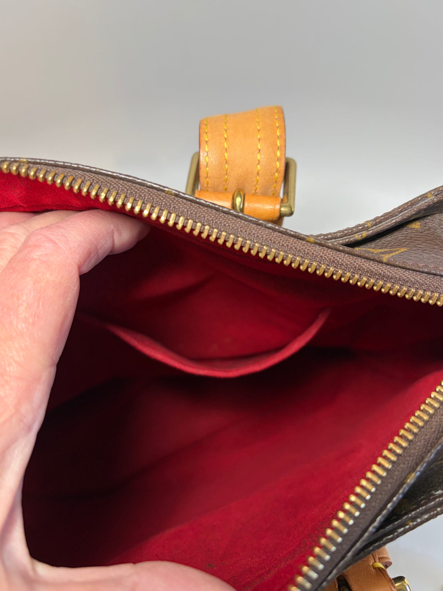 Louis Vuitton Monogram Multipli Cité Bag