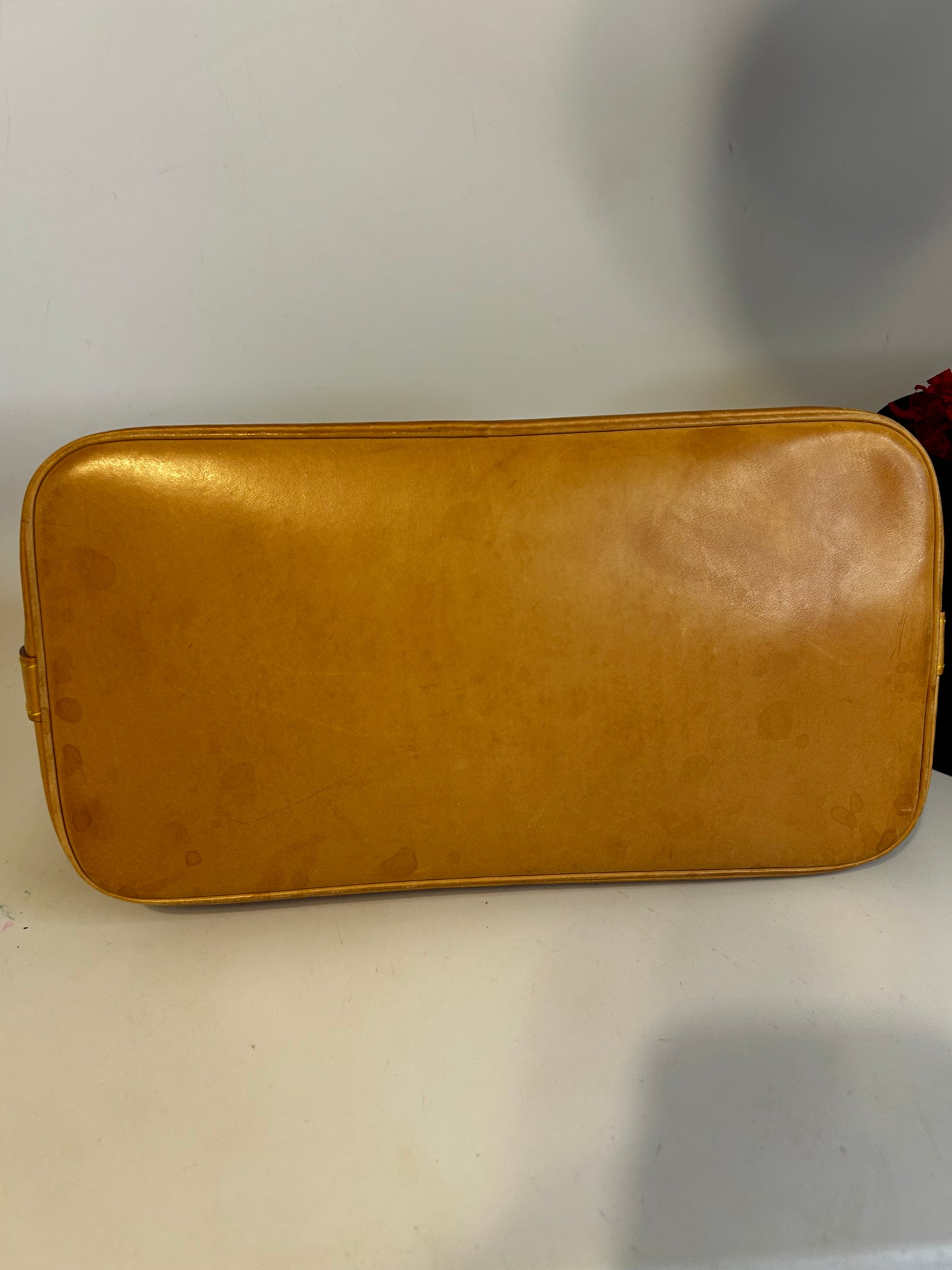 Louis Vuitton Alma PM Monogram