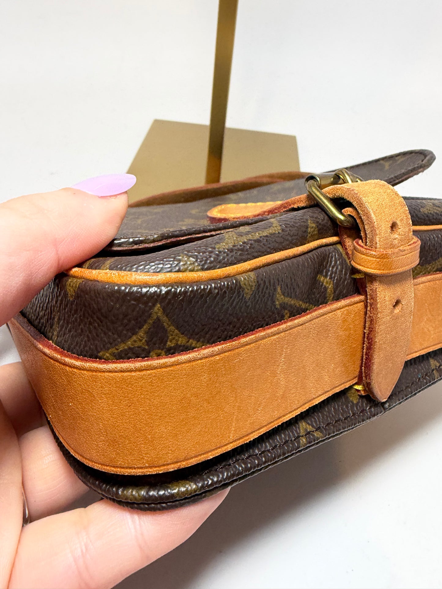 Louis Vuitton Cartouchière PM Monogram Crossbody