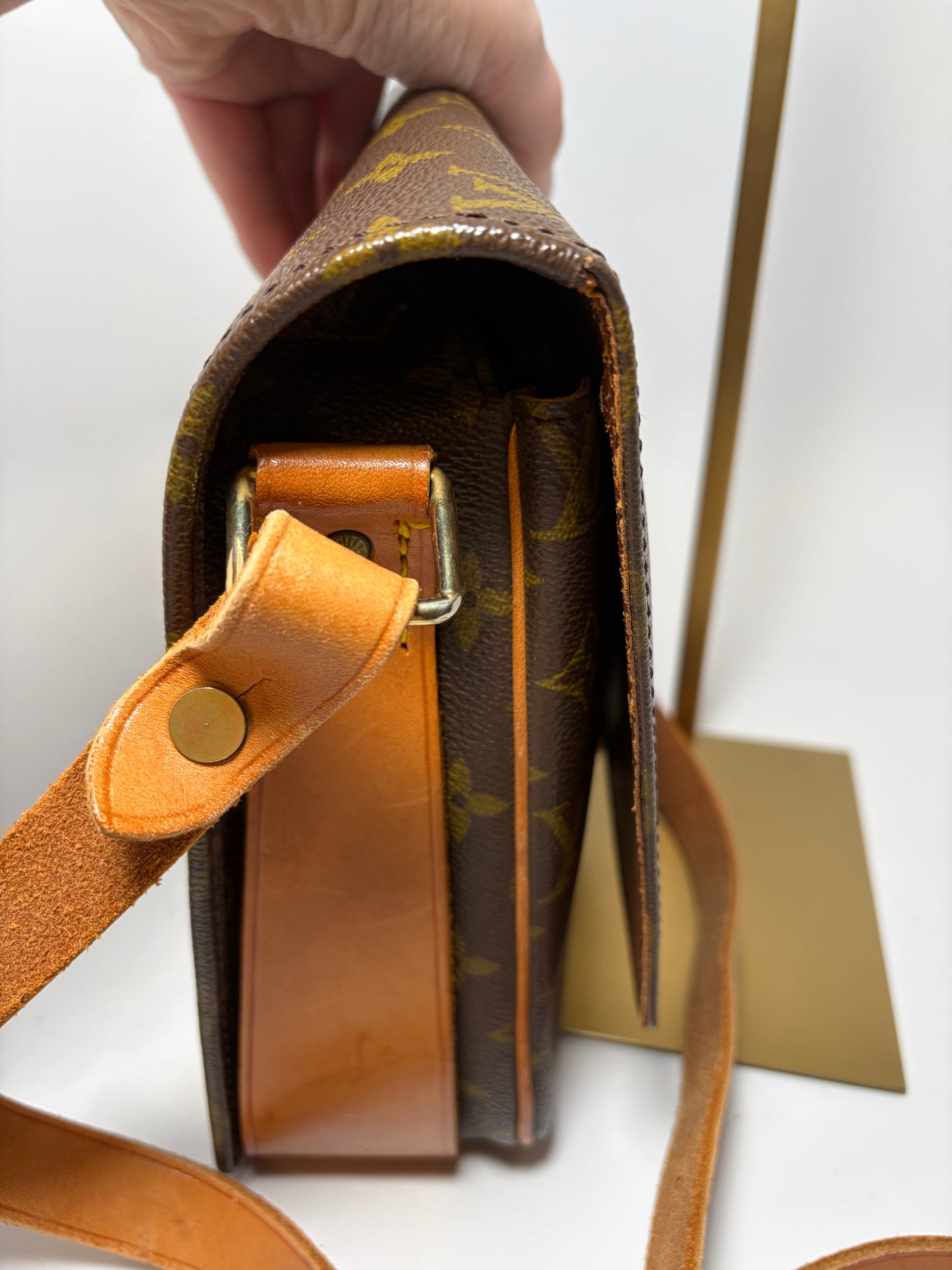Louis Vuitton Cartouchière GM Monogram Crossbody