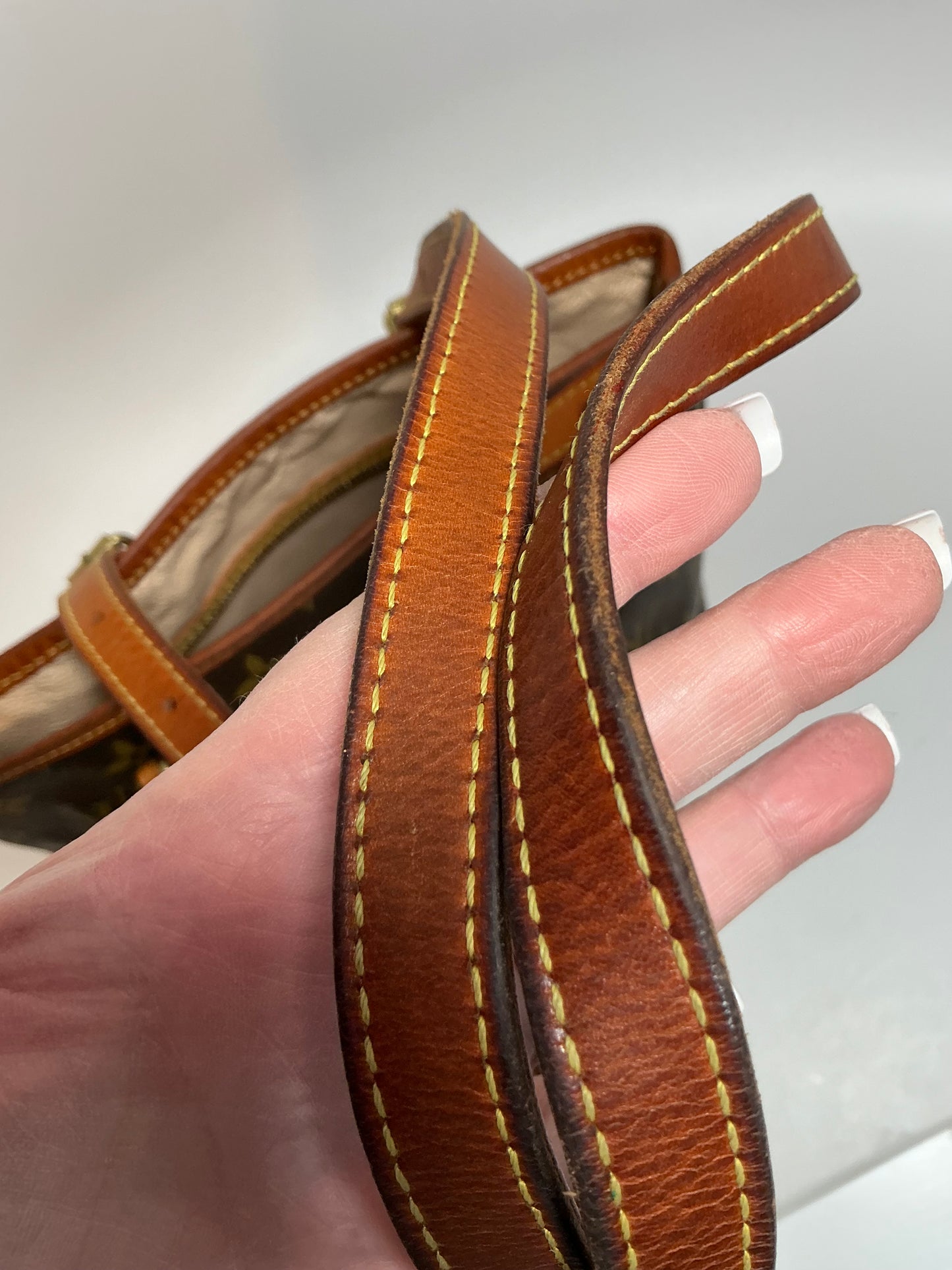 Louis Vuitton Monogram Petit Bucket Bag Tote