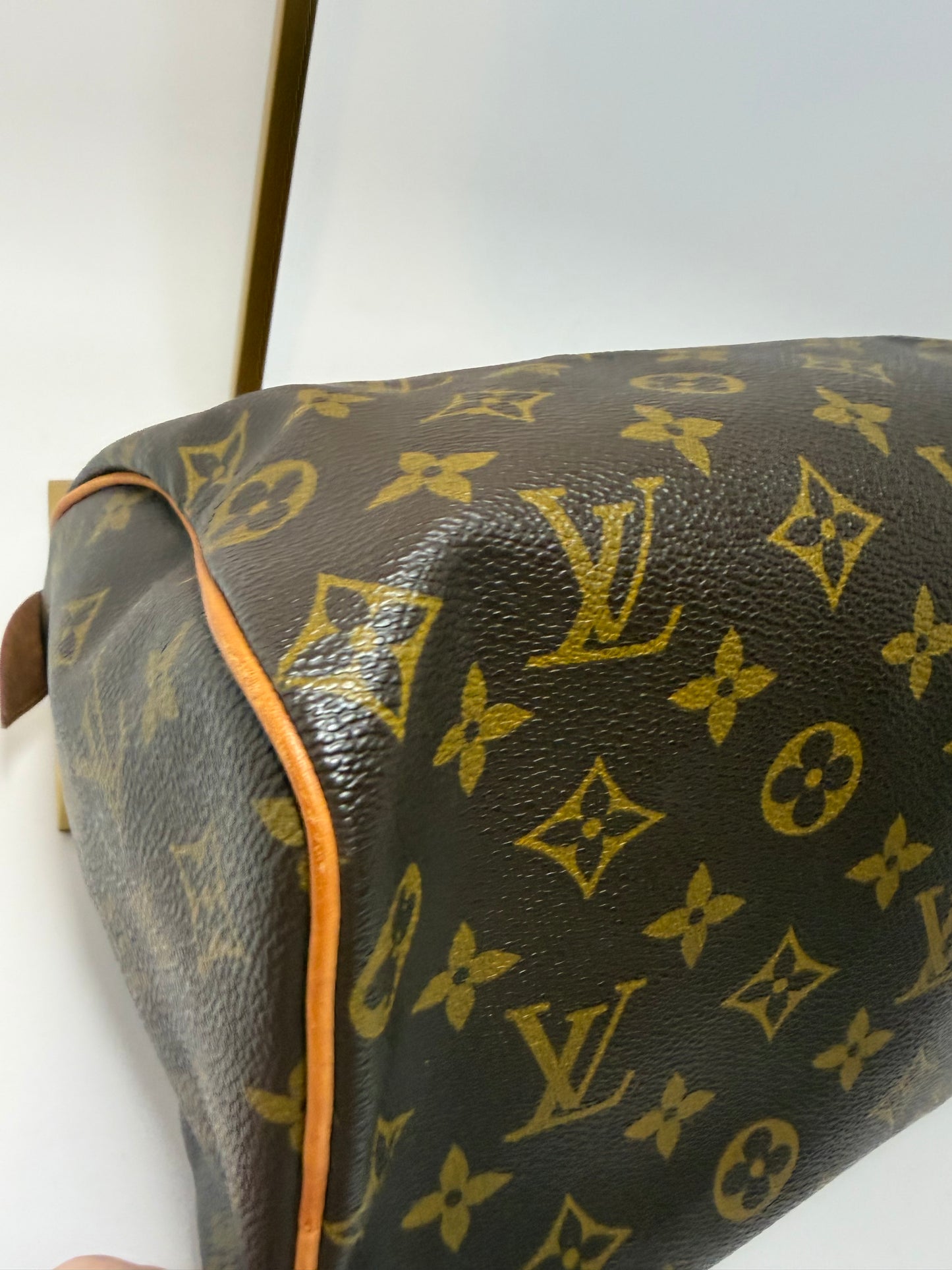 Louis Vuitton Speedy 25 Monogram