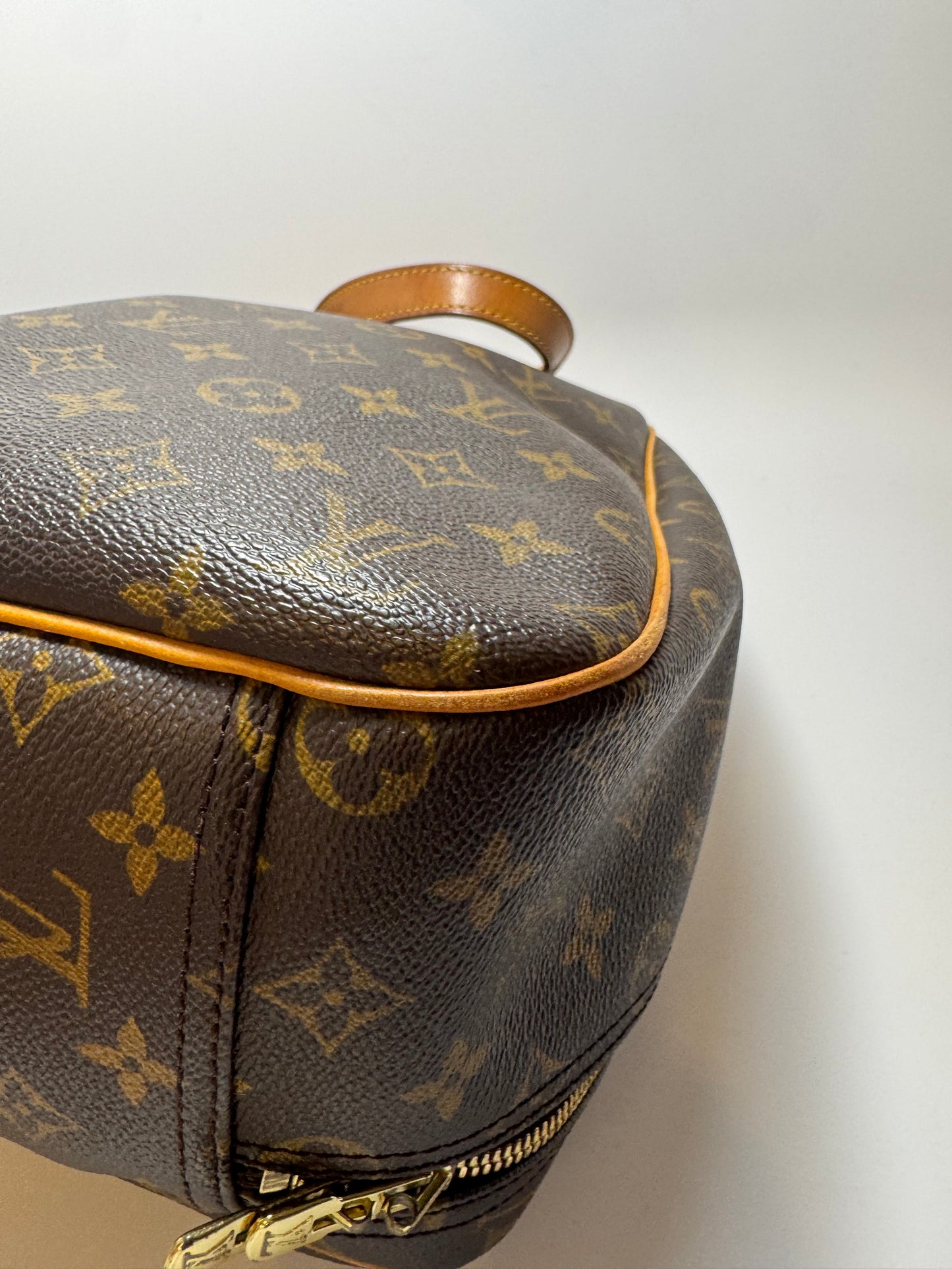 Louis Vuitton Excursion Monogram Travel Bag / Satchel