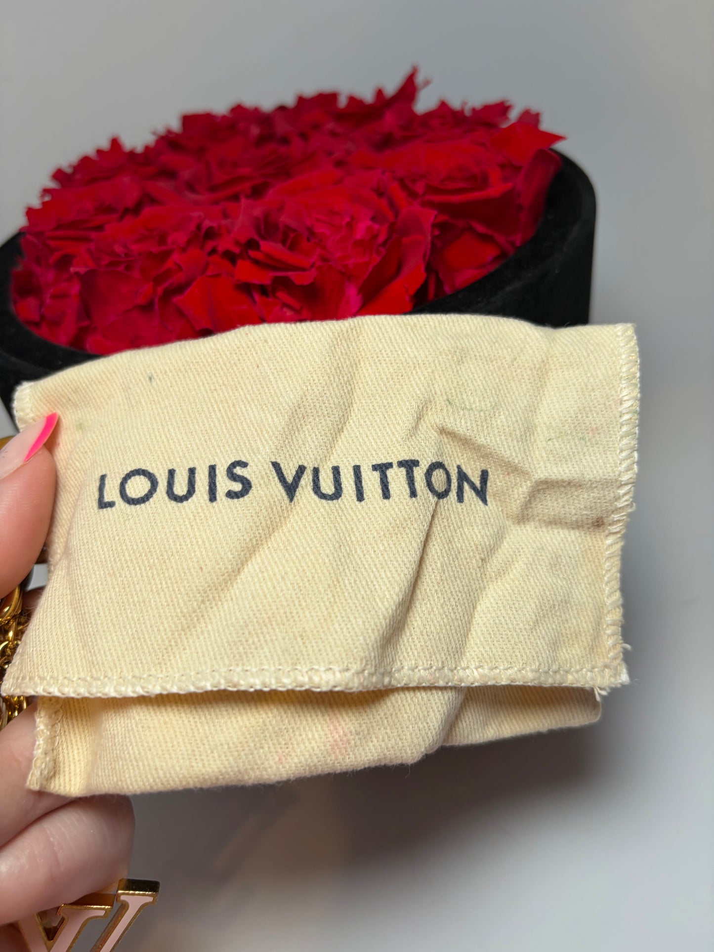 Louis Vuitton Spring Street Bag Charm and Key Holder w/COA & Dust Bag