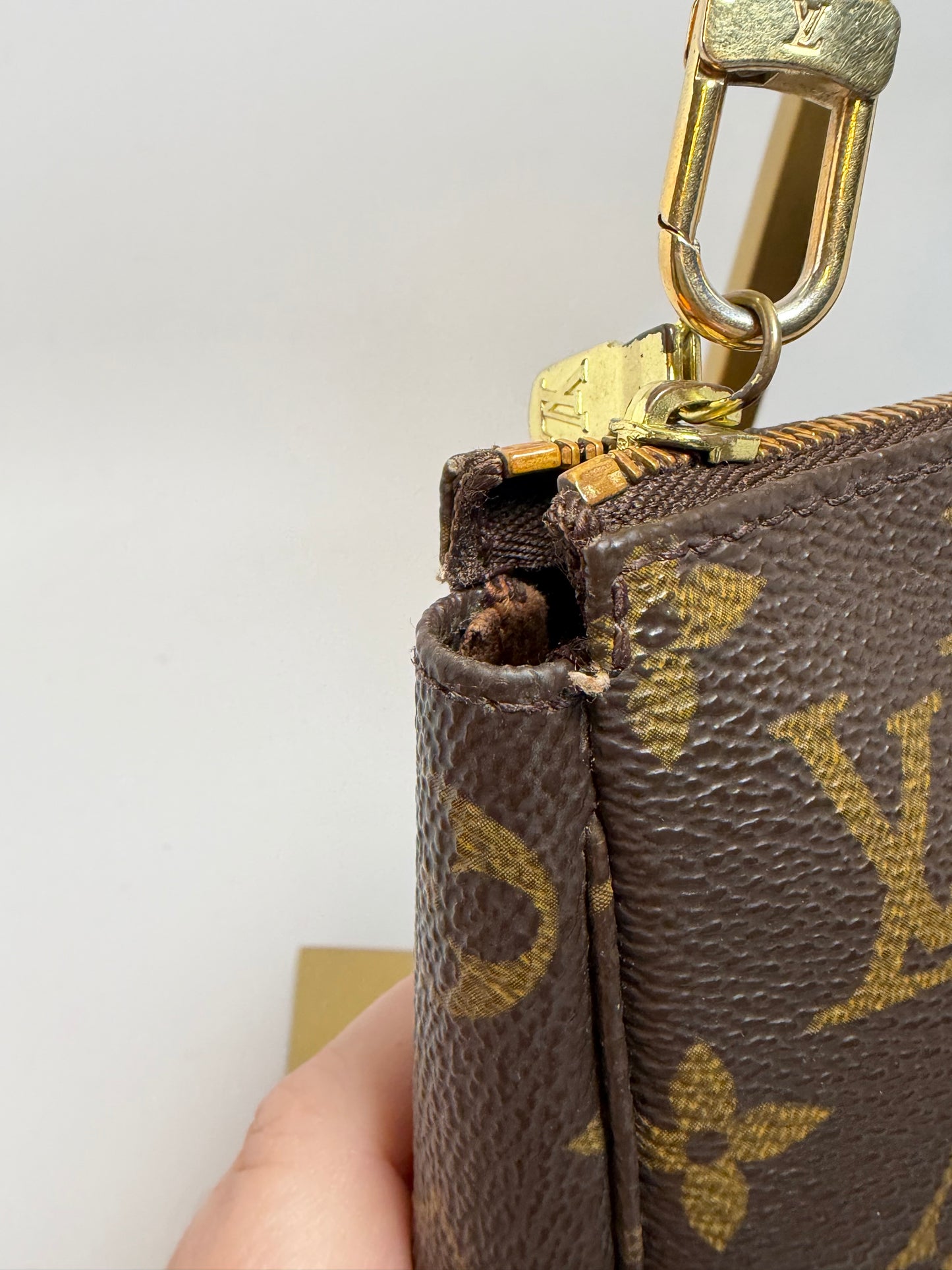 Louis Vuitton Pochette Accessories Monogram