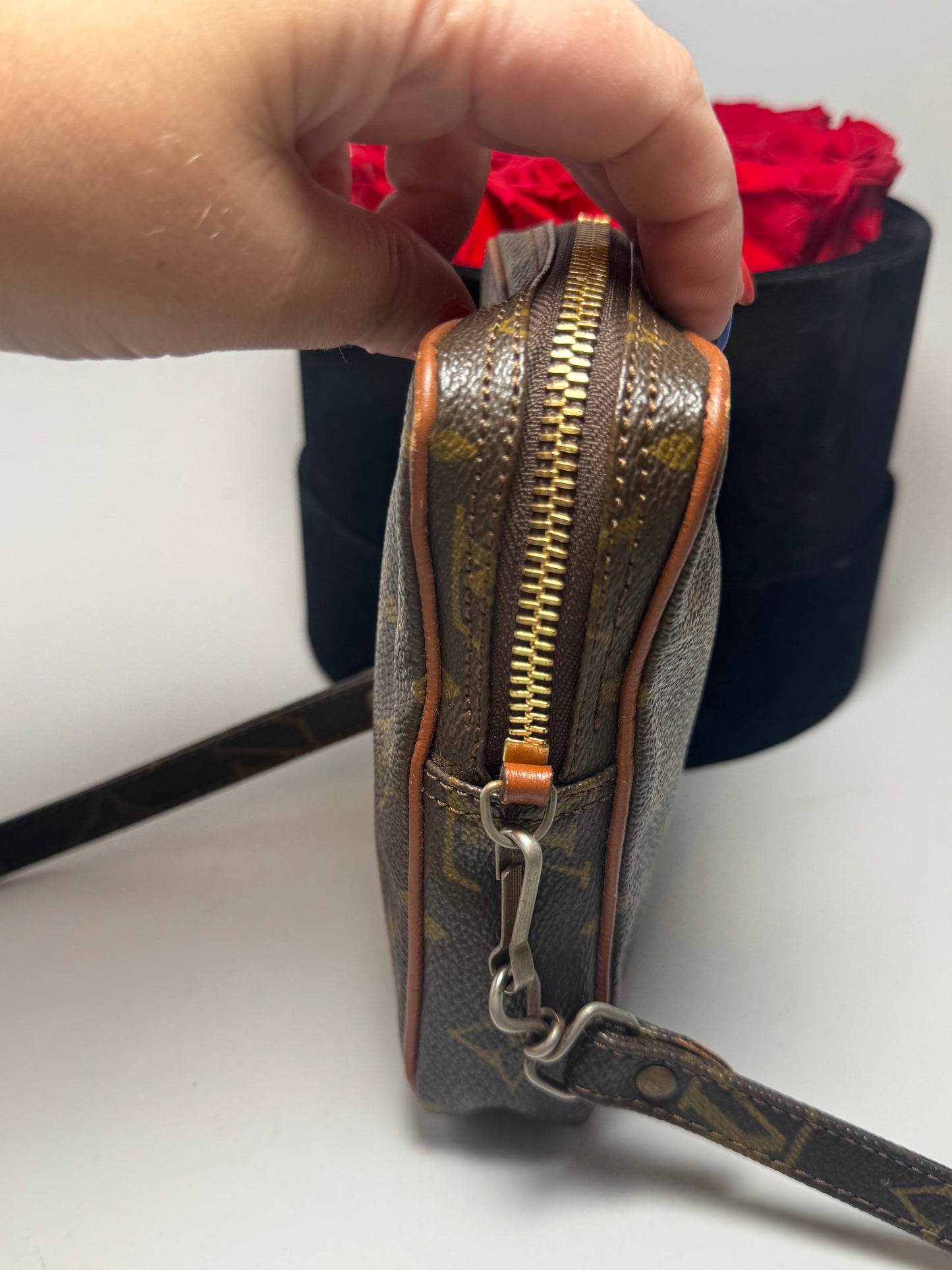 Louis Vuitton Mini Danube shoulder bag/belt bag