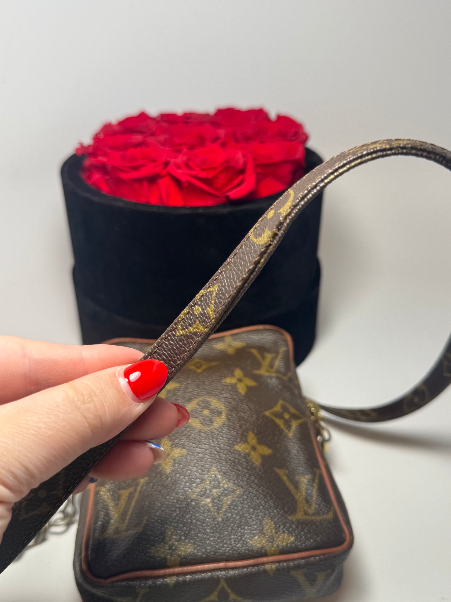 Louis Vuitton Mini Danube shoulder bag/belt bag