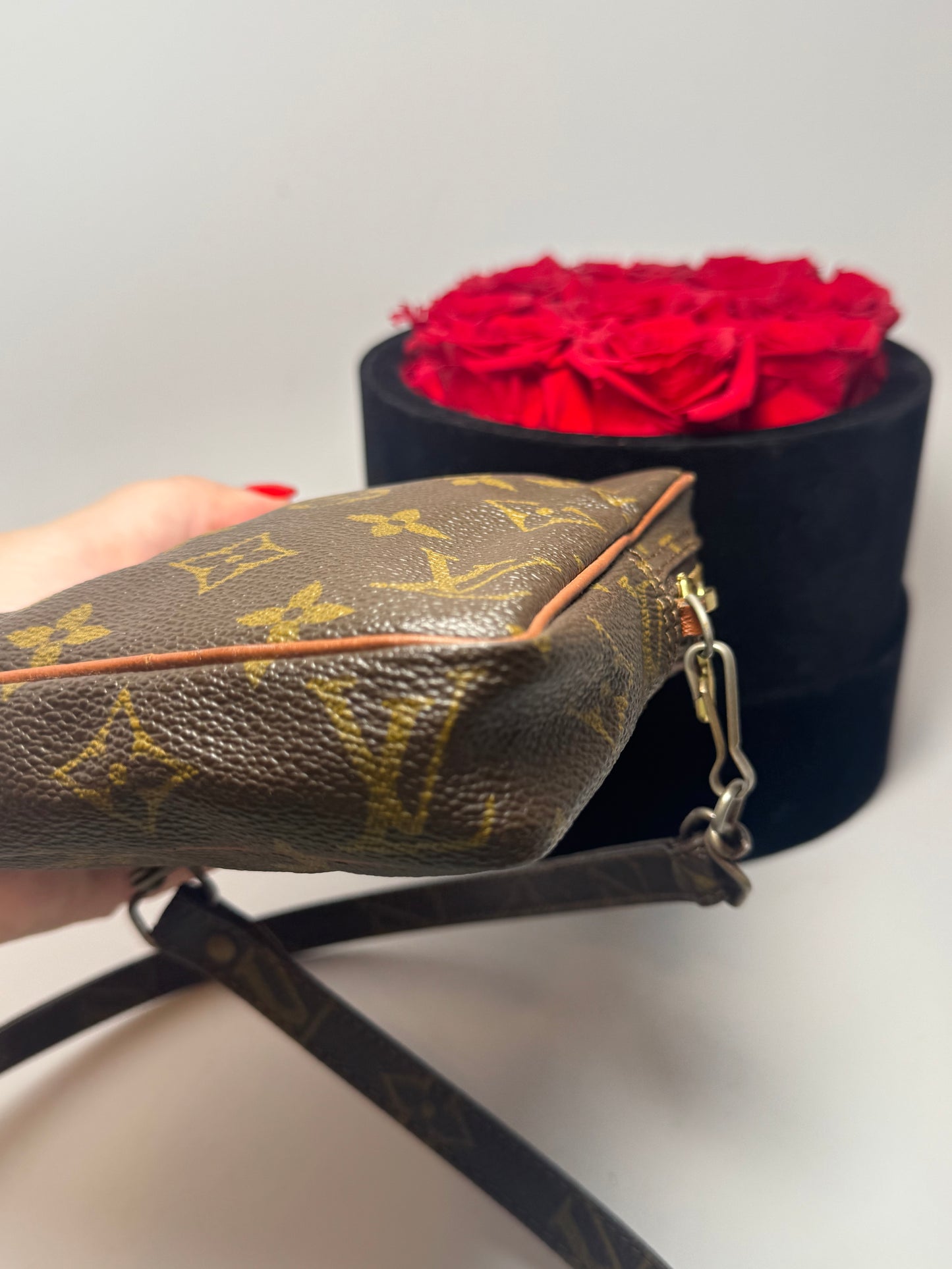 Louis Vuitton Mini Danube shoulder bag/belt bag
