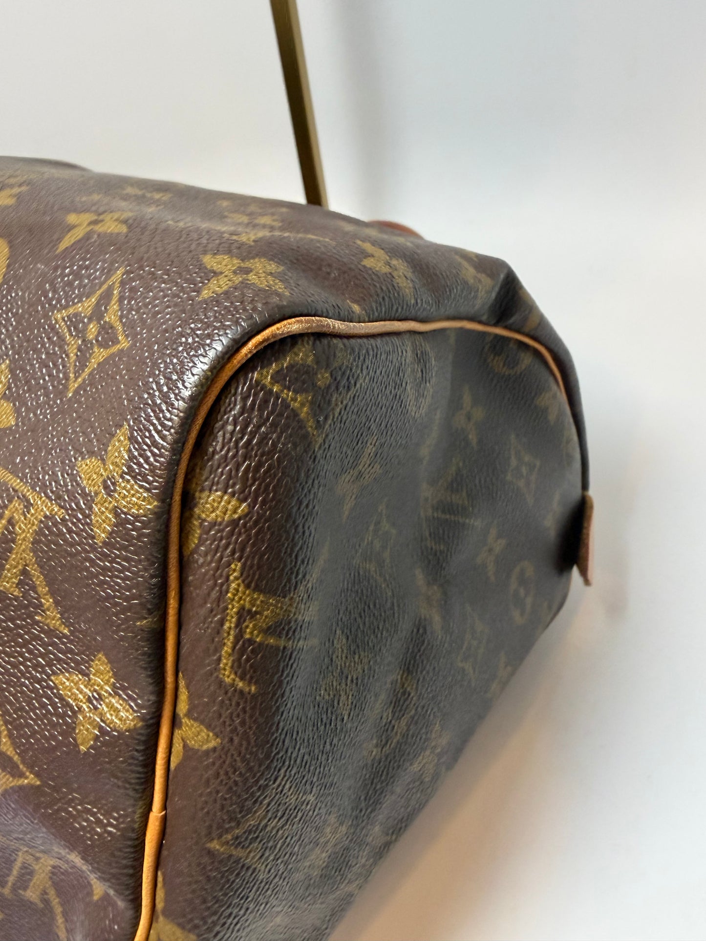 Louis Vuitton Speedy 30 monogram