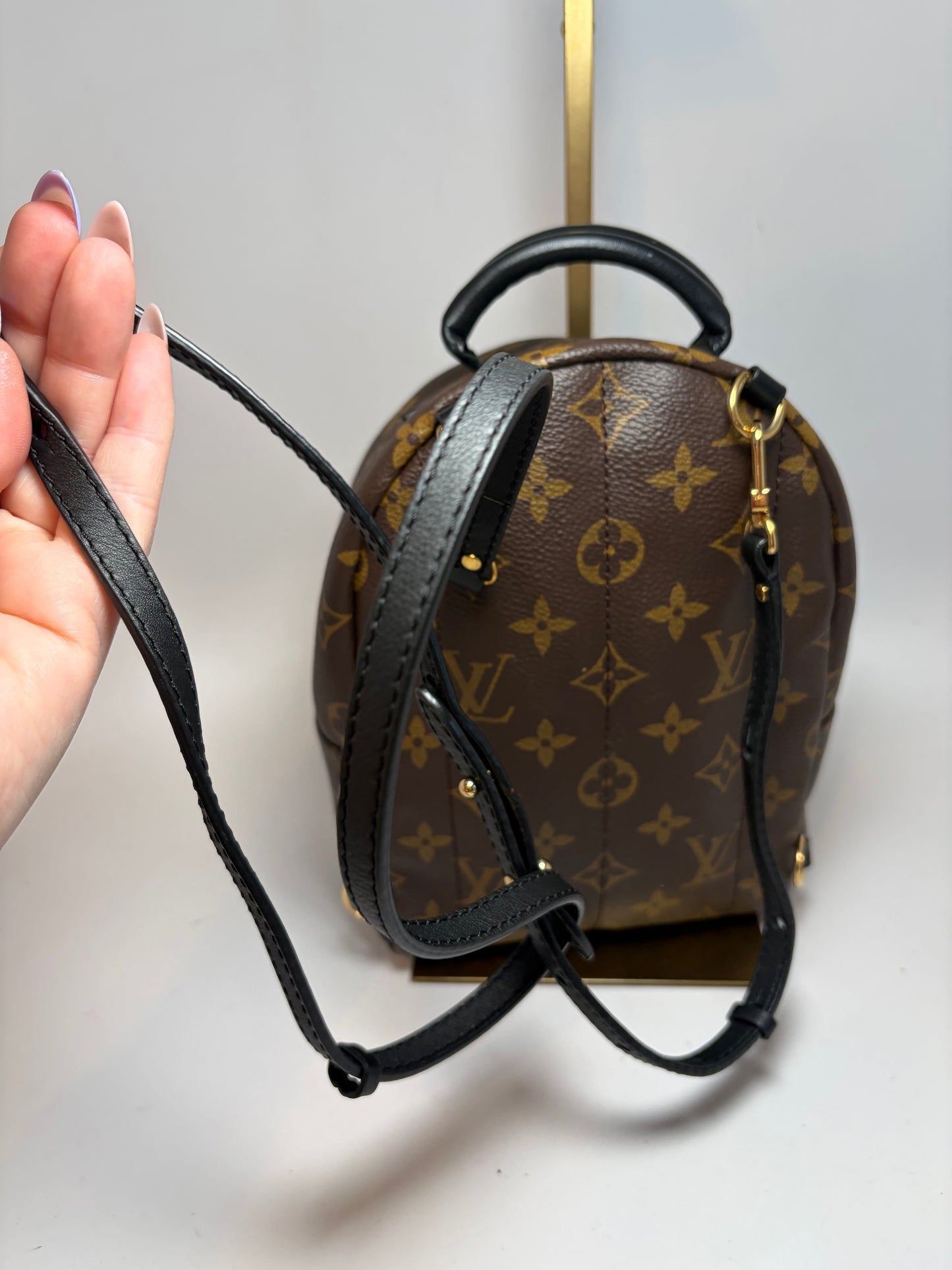 Louis Vuitton Palm Springs Mini Monogram Backpack & Crossbody w/COA