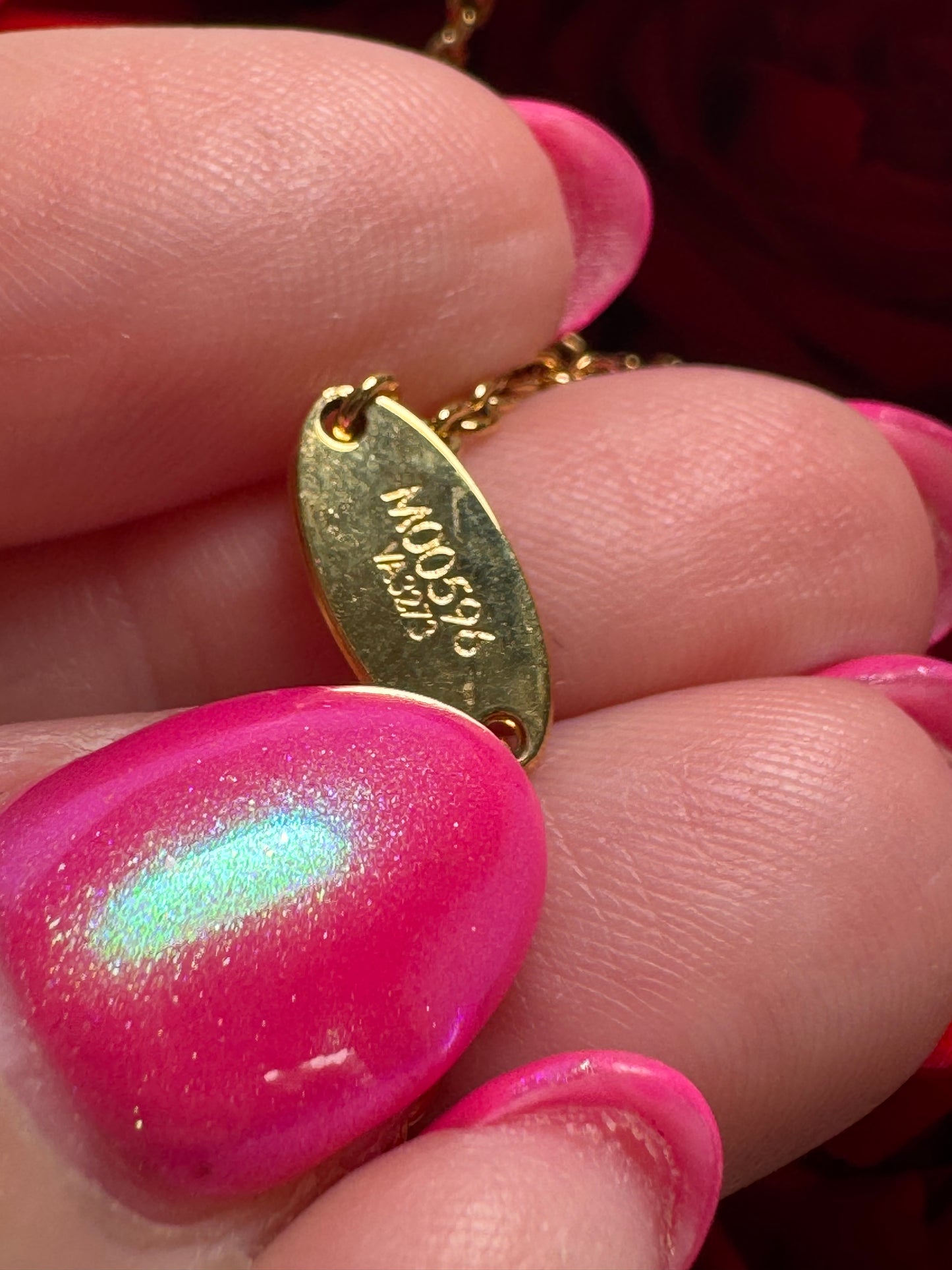 Louis Vuitton Iconic Necklace