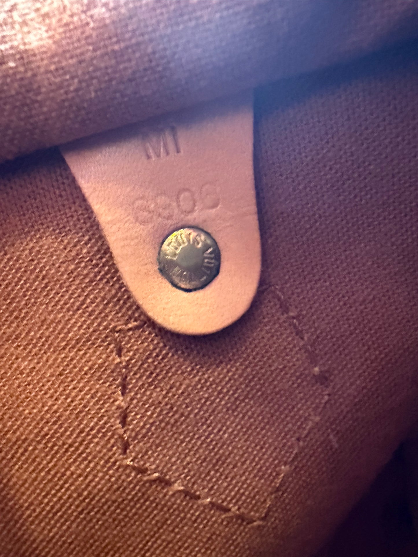 Louis Vuitton Speedy 25 Monogram