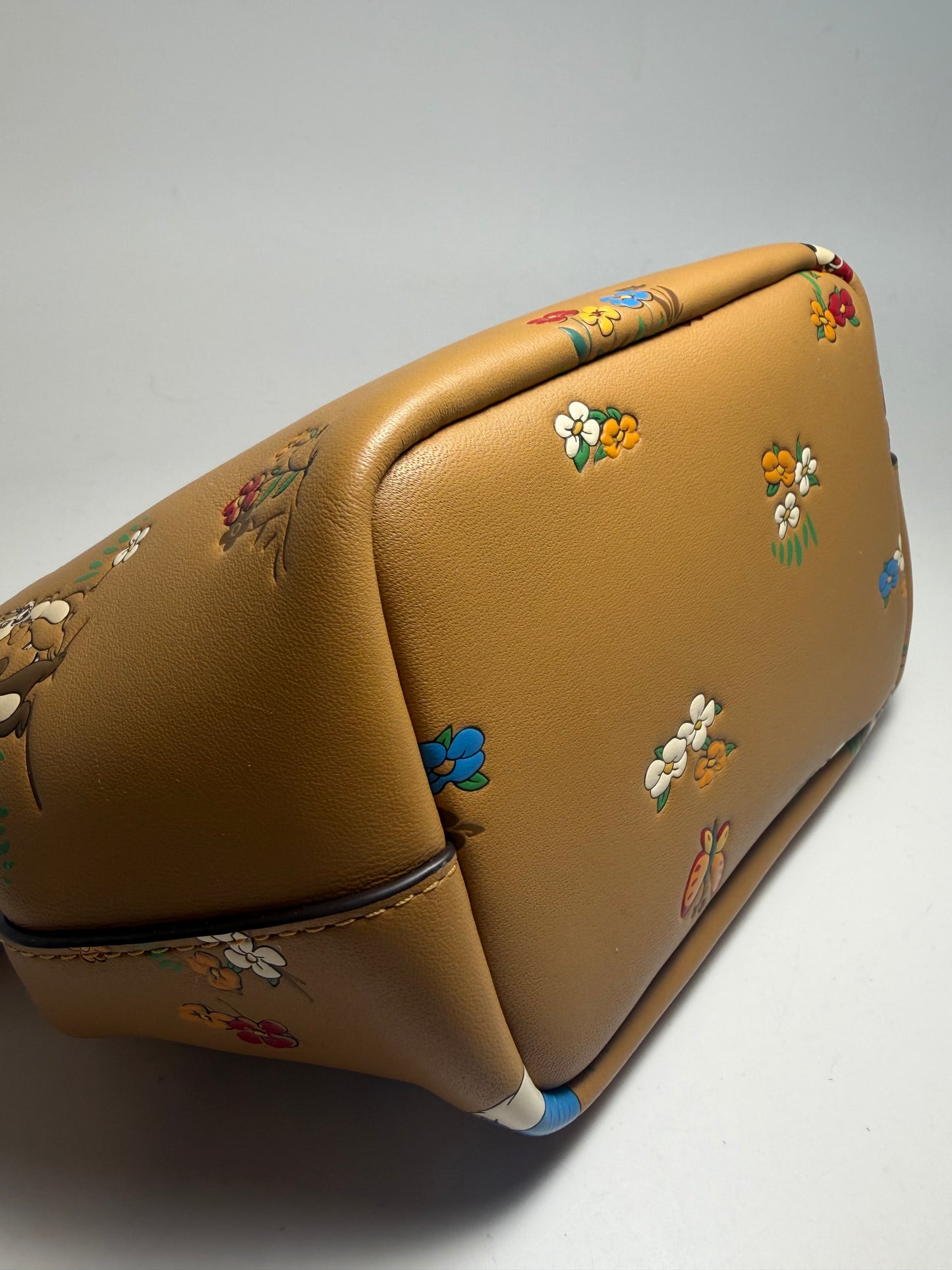 Coach x Disney Mickey & Friends Honey Brown Kiss Lock Crossbody NWT