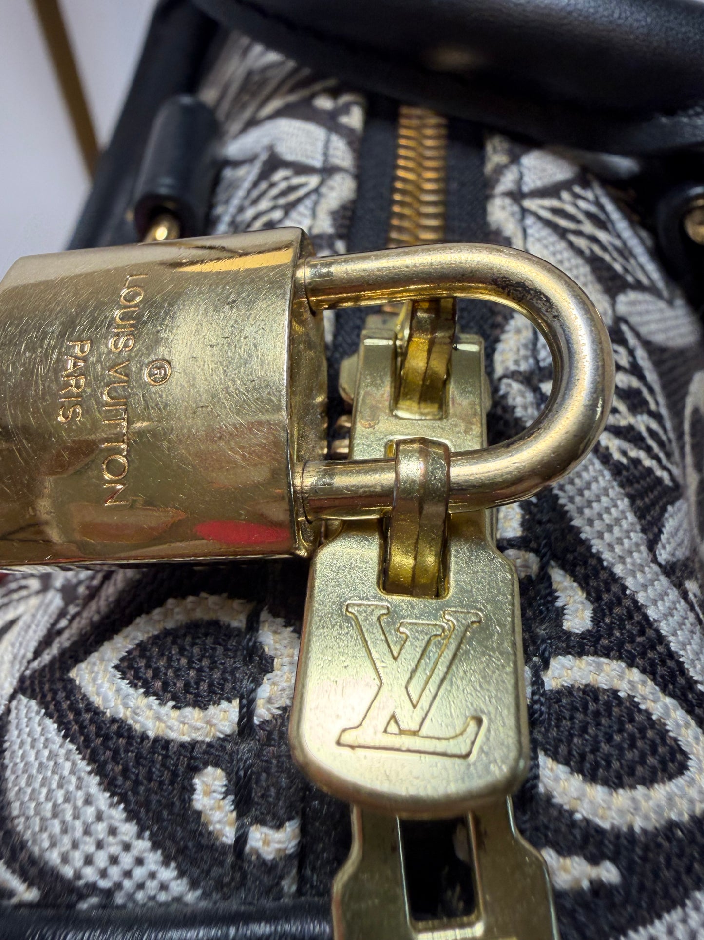 Louis Vuitton Speedy 25 Bandoulière 1854 Monogram Jacquard