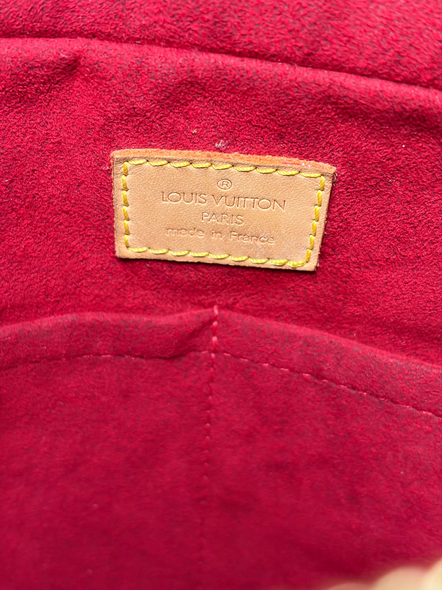 Louis Vuitton Monogram Multipli Cité Bag