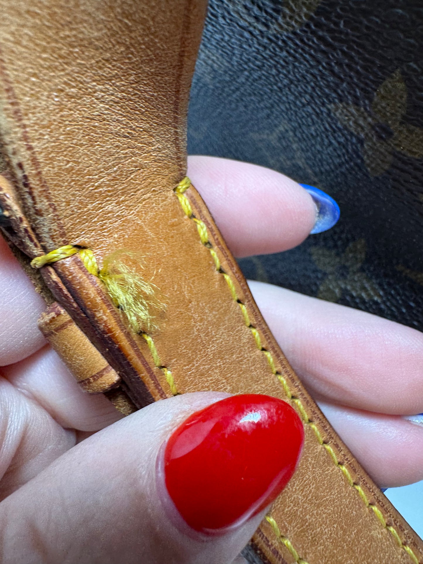 Louis Vuitton Noe GM Monogram Bucket Bag