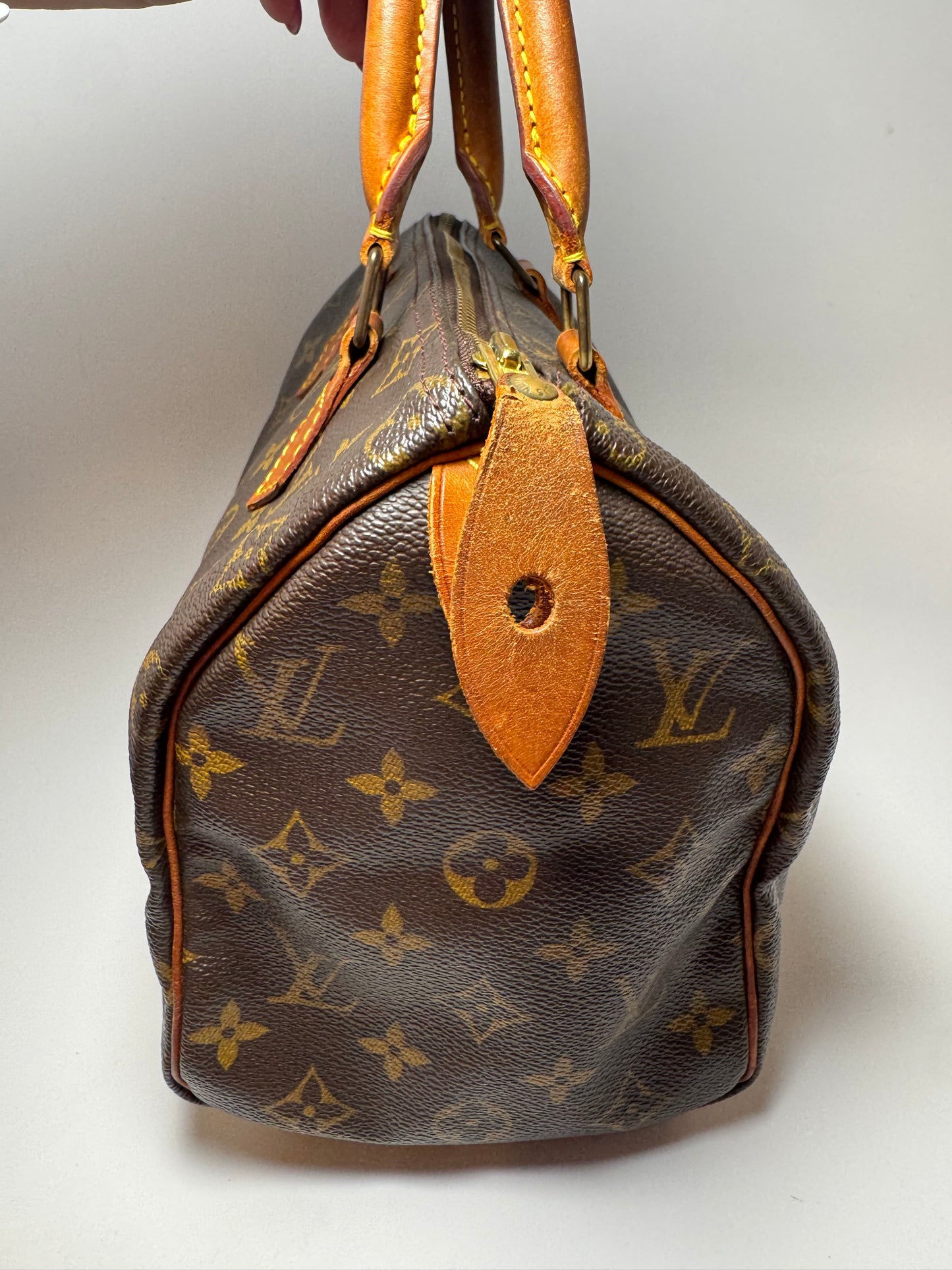 Louis Vuitton Speedy 25 Monogram Satchel