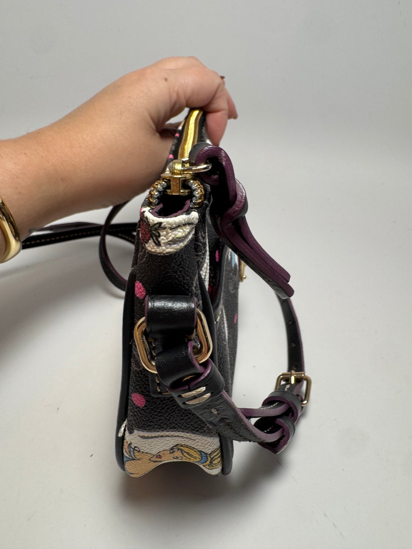 Dooney & Bourke Disney Princess Crossbody