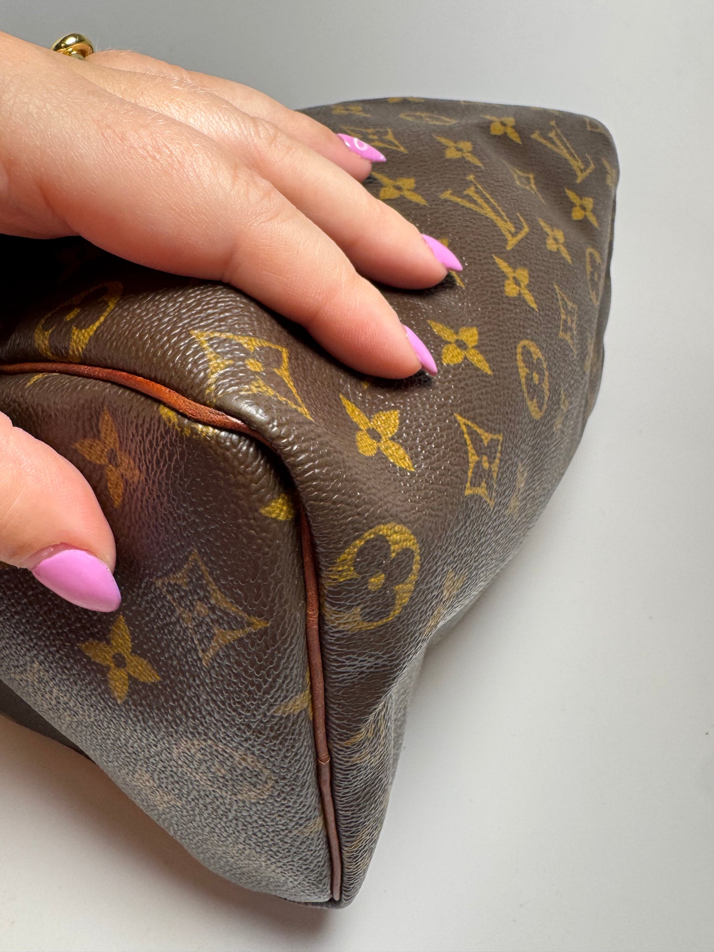 Louis Vuitton Speedy 25 Monogram Satchel