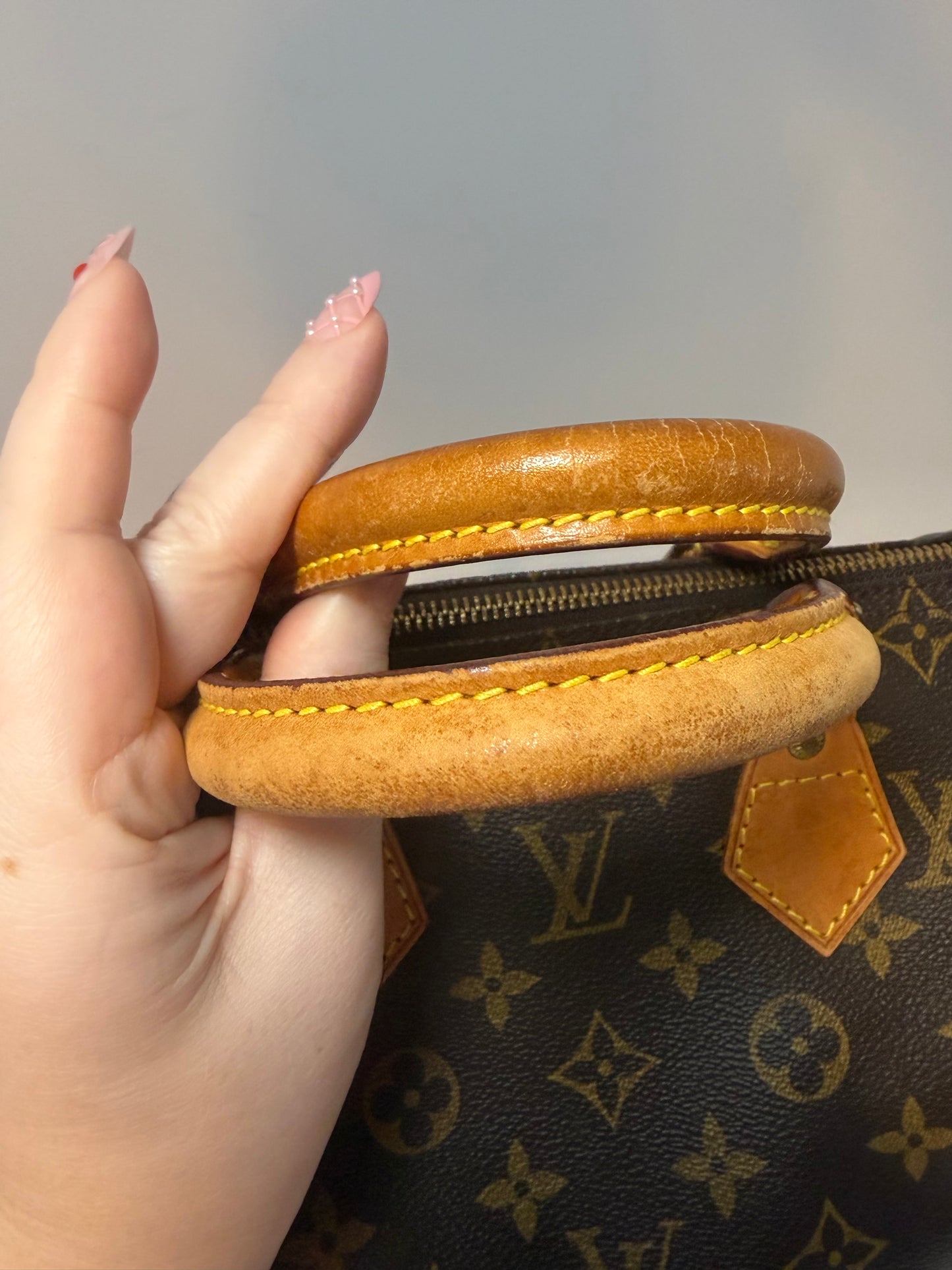 Louis Vuitton Speedy 25 Monogram