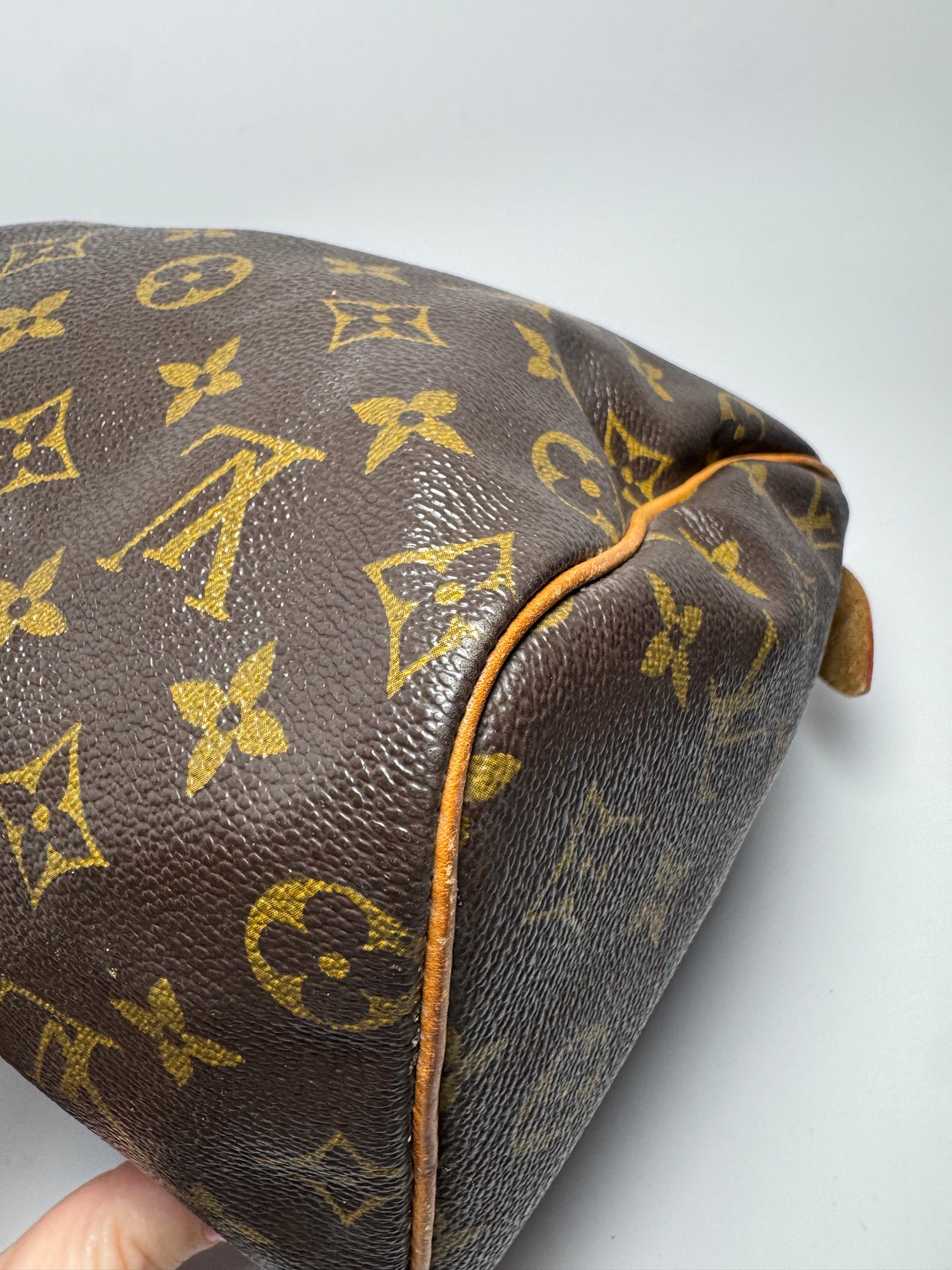 Louis Vuitton Speedy 25 Monogram