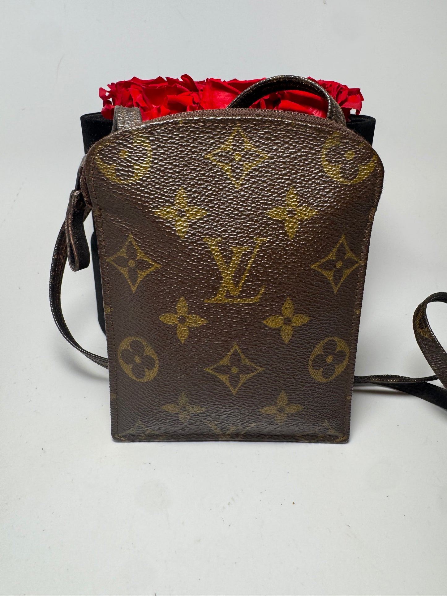 Louis Vuitton Monogram Pochette Secret Crossbody/Passport Holder Travel Bag