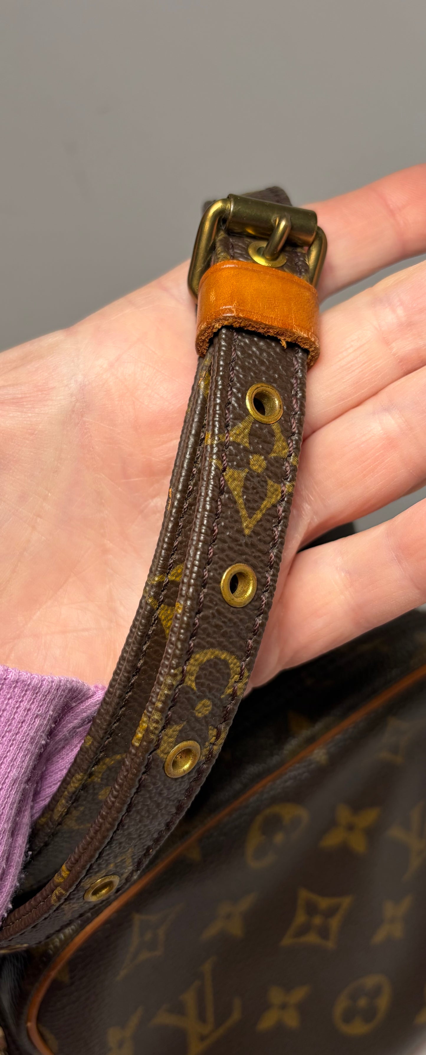 Louis Vuitton Amazon Monogram Crossbody