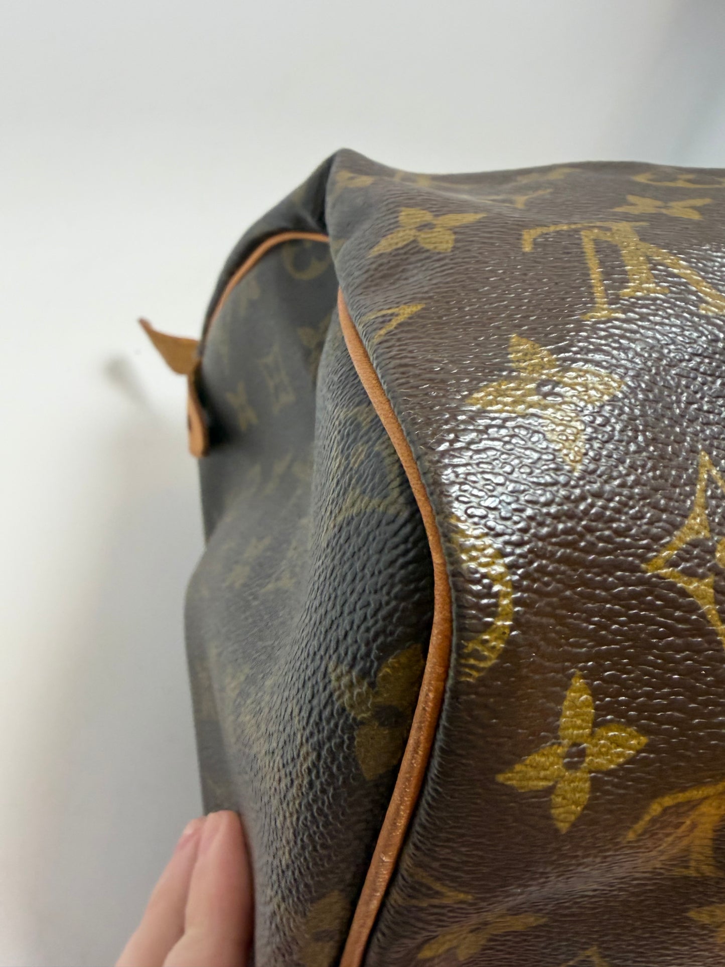 Louis Vuitton Speedy 30 Monogram