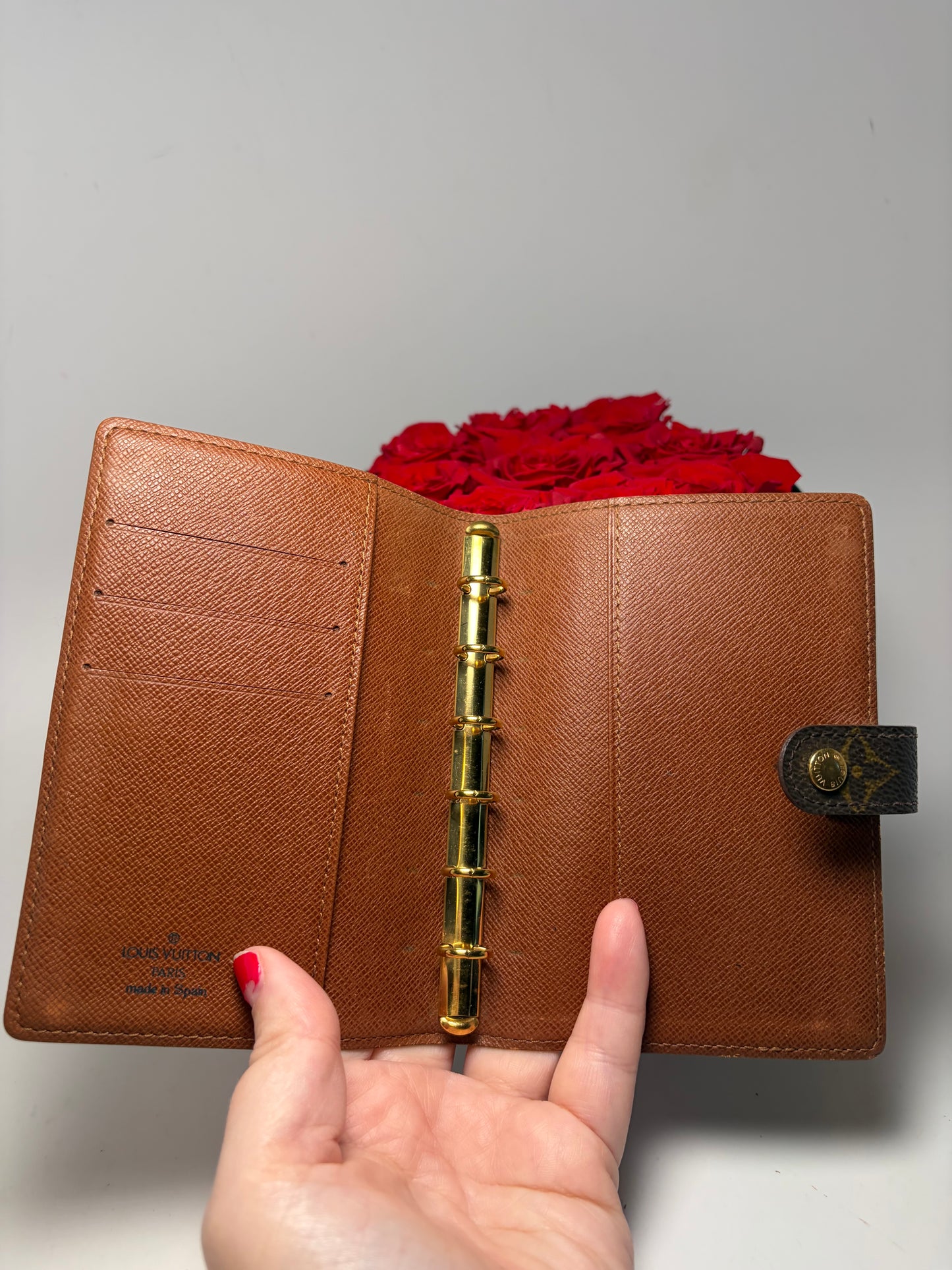 Louis Vuitton Agenda PM Planner/Passport Holder in Monogram