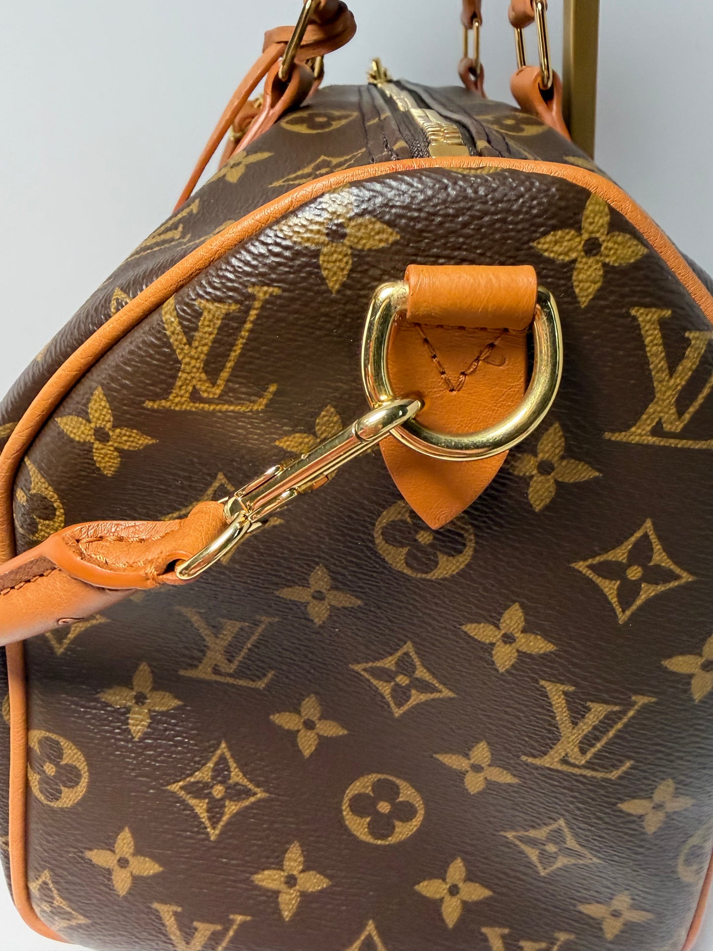 Louis Vuitton Speedy Soft 30 Boho w/Ostrich Leather