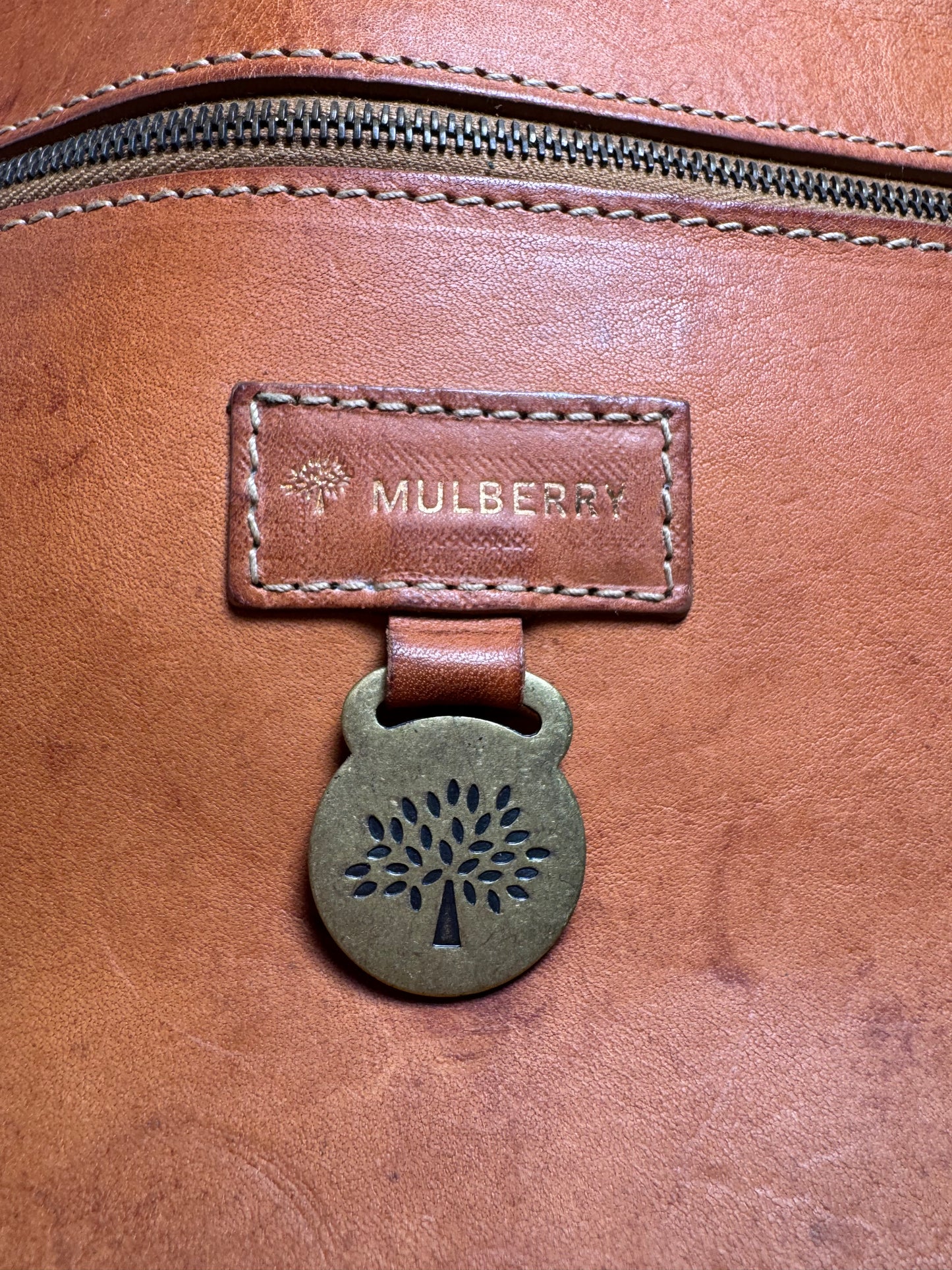 Mulberry Hand Painted Roxanne Leather Satchel Floral
