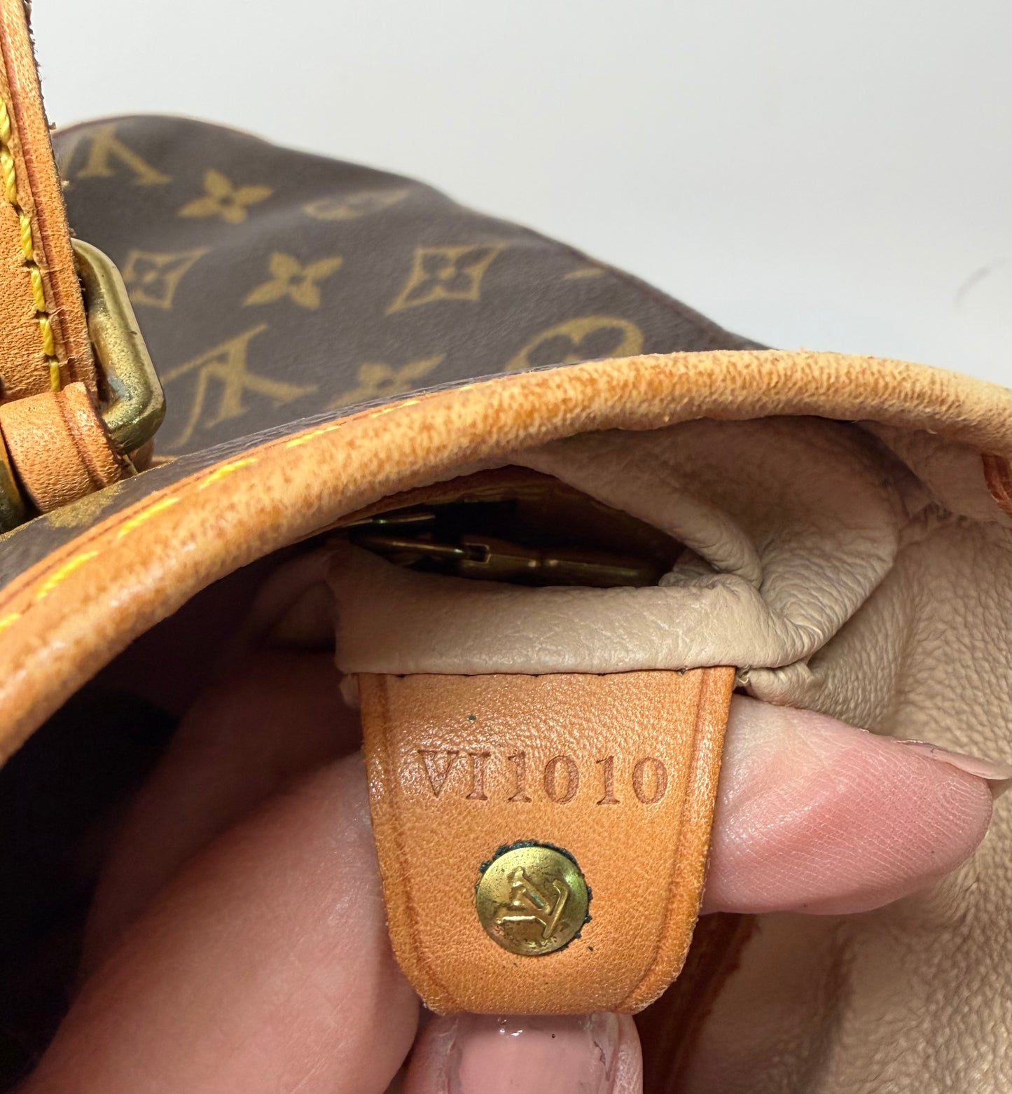 Louis Vuitton Petite Bucket Bag PM Monogram