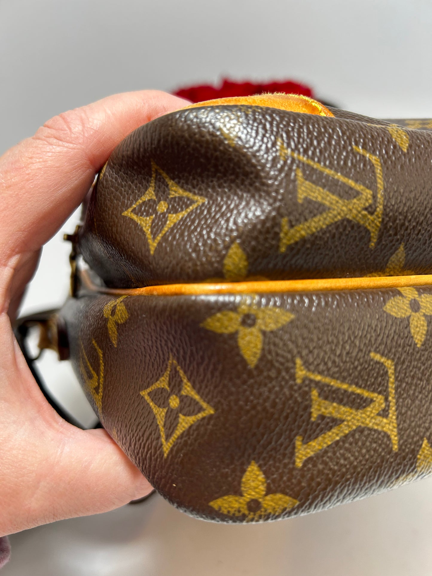 Louis Vuitton Amazon Monogram Crossbody