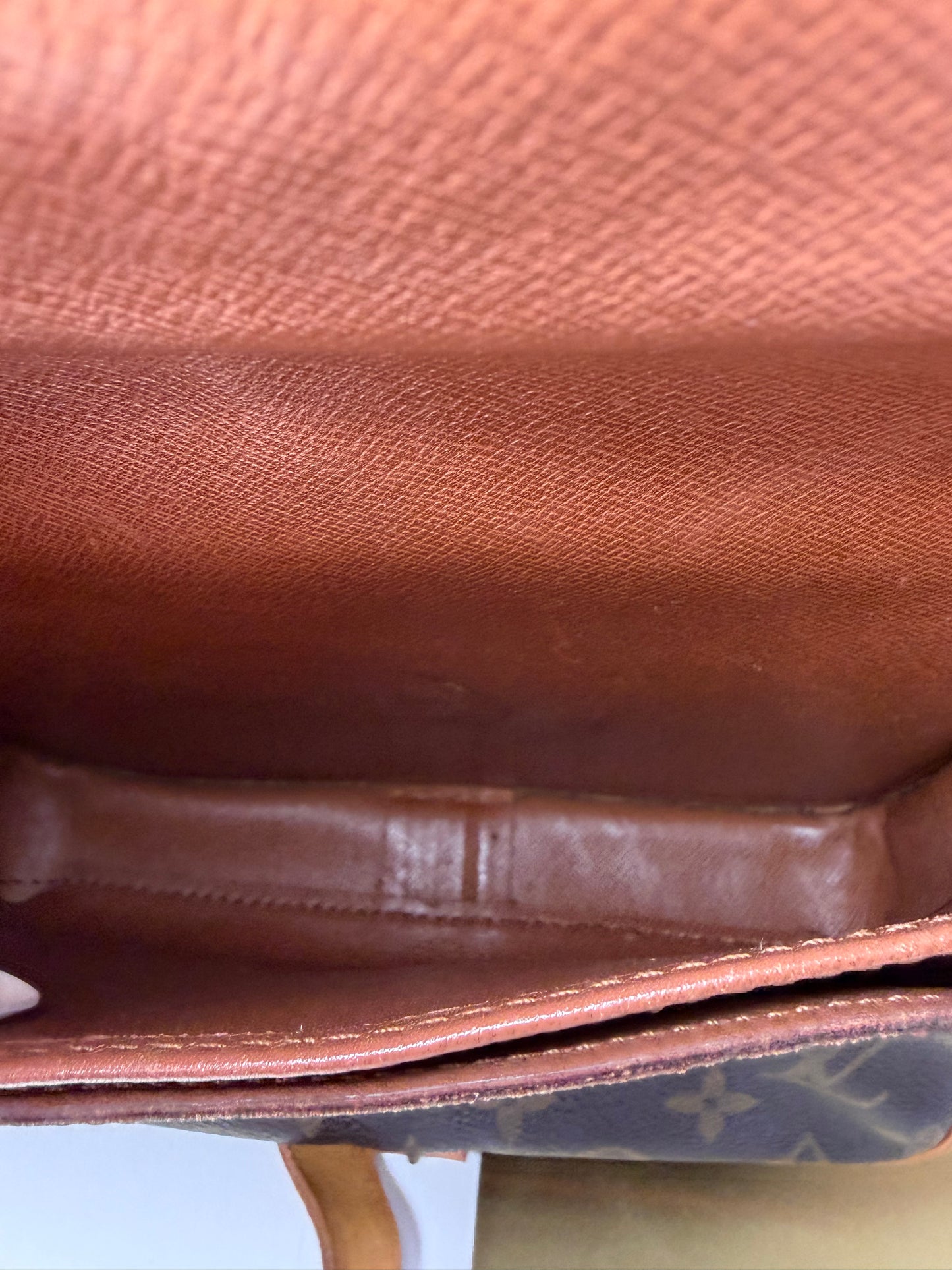 Louis Vuitton Cartouchière MM Monogram Crossbody