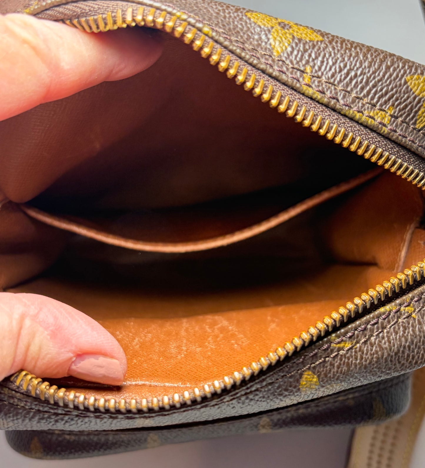 Louis Vuitton Amazon Monogram Crossbody
