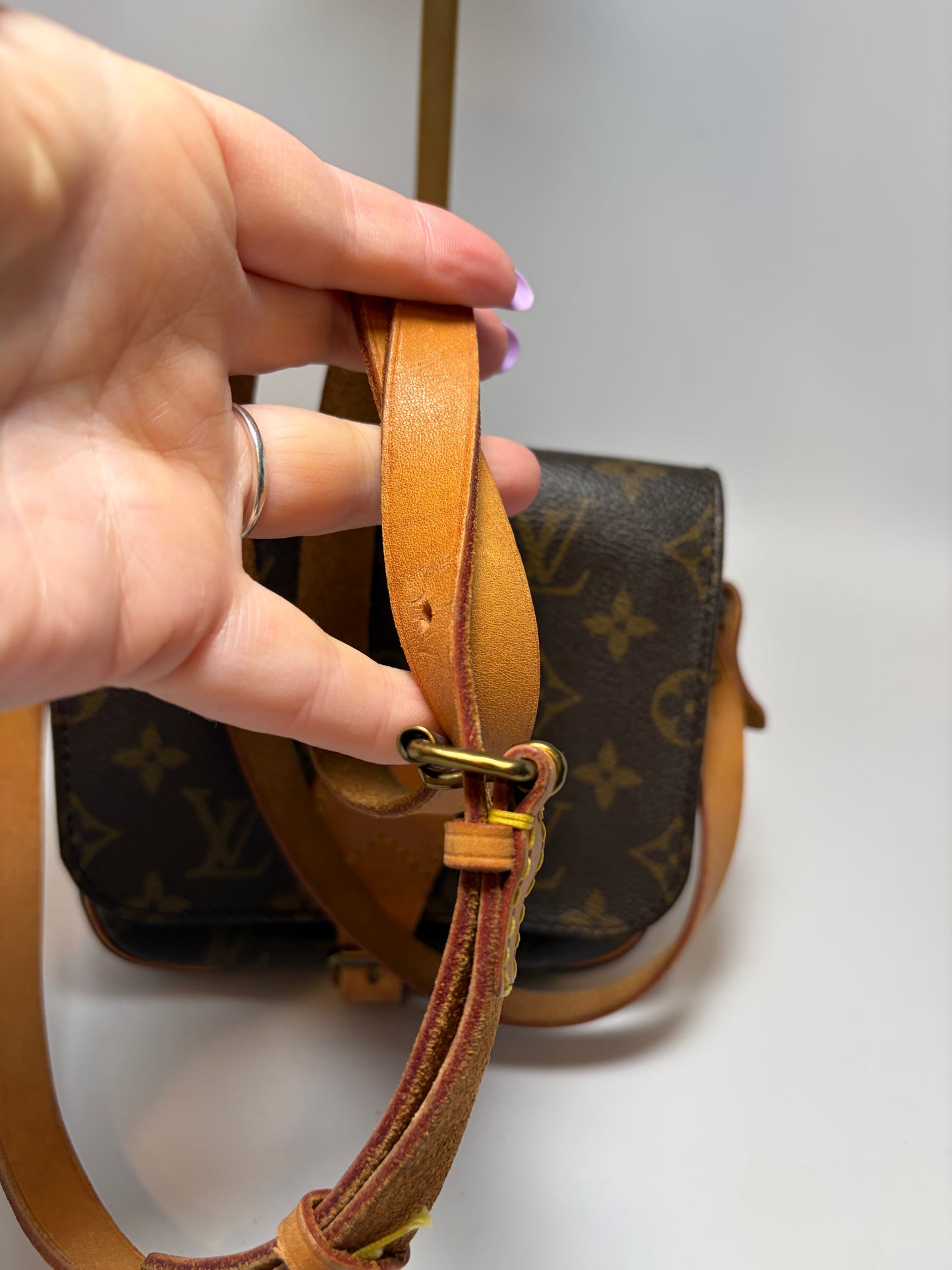 Louis Vuitton Cartouchière PM Monogram Crossbody